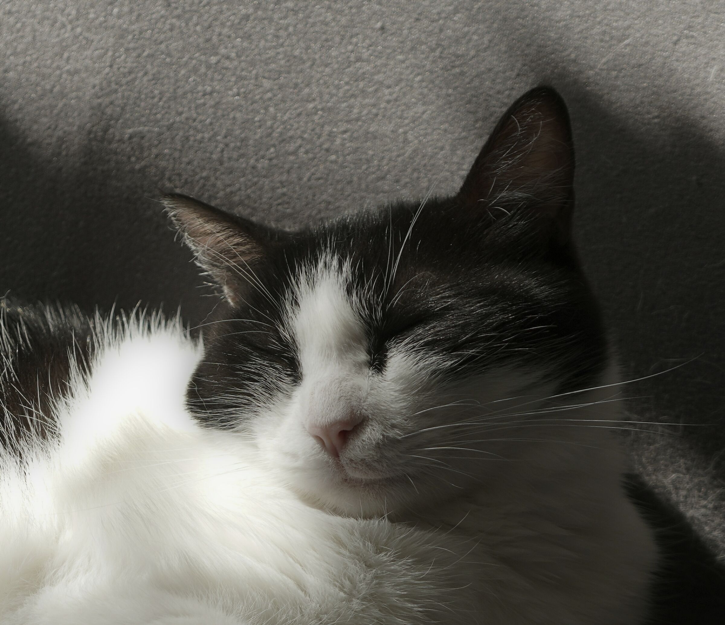 sulla  (mia) sua poltrona