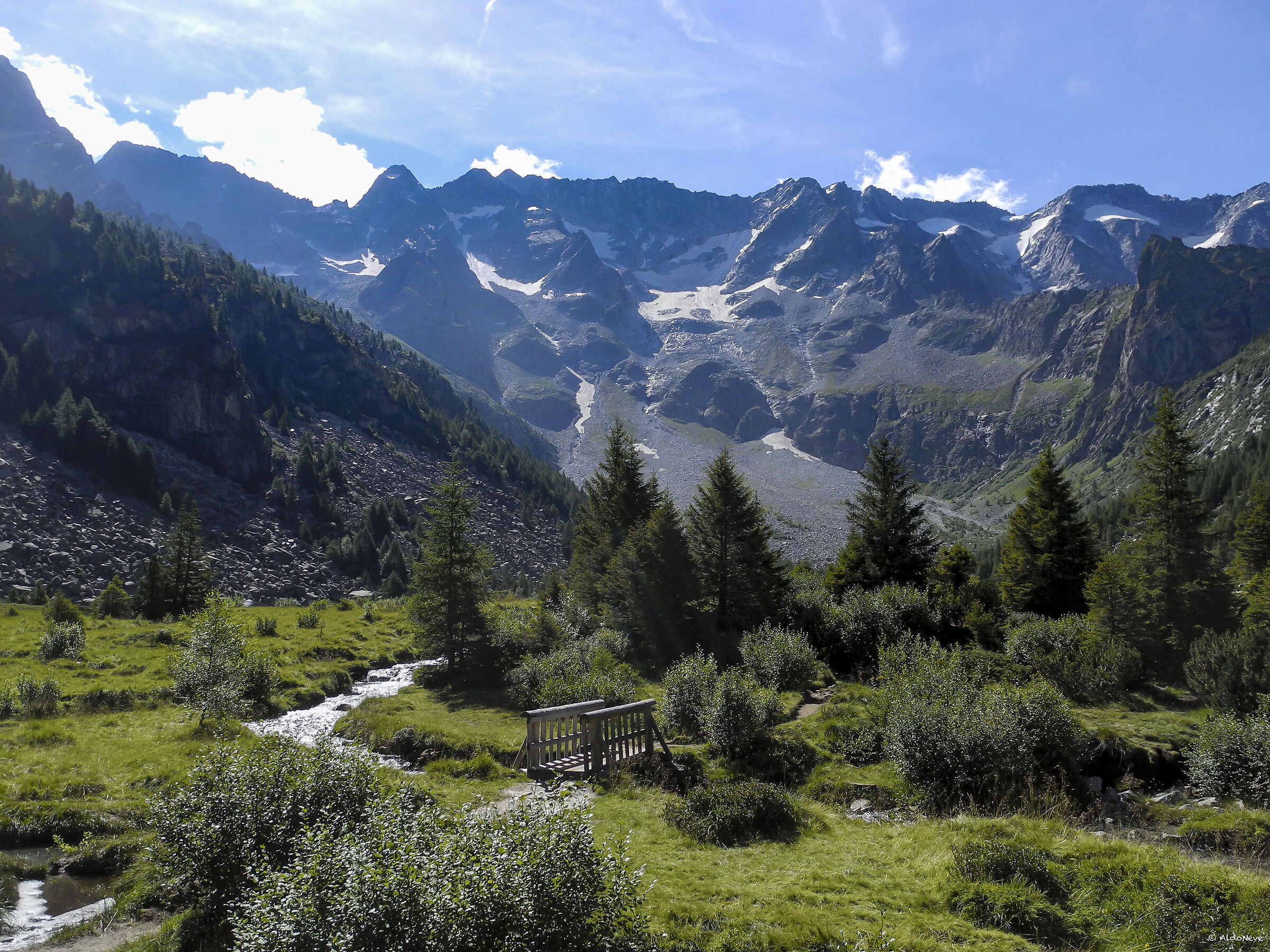 Baitone dalla Valle Aviolo