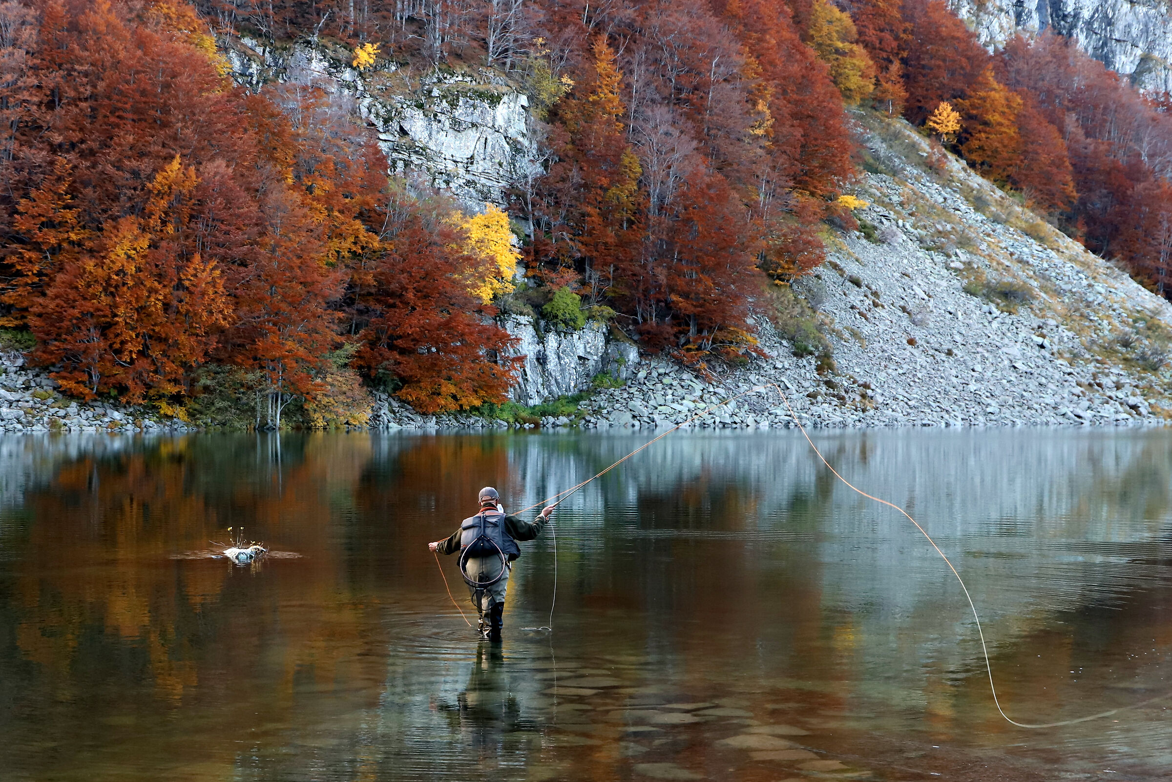 Fishing in the time of Covid