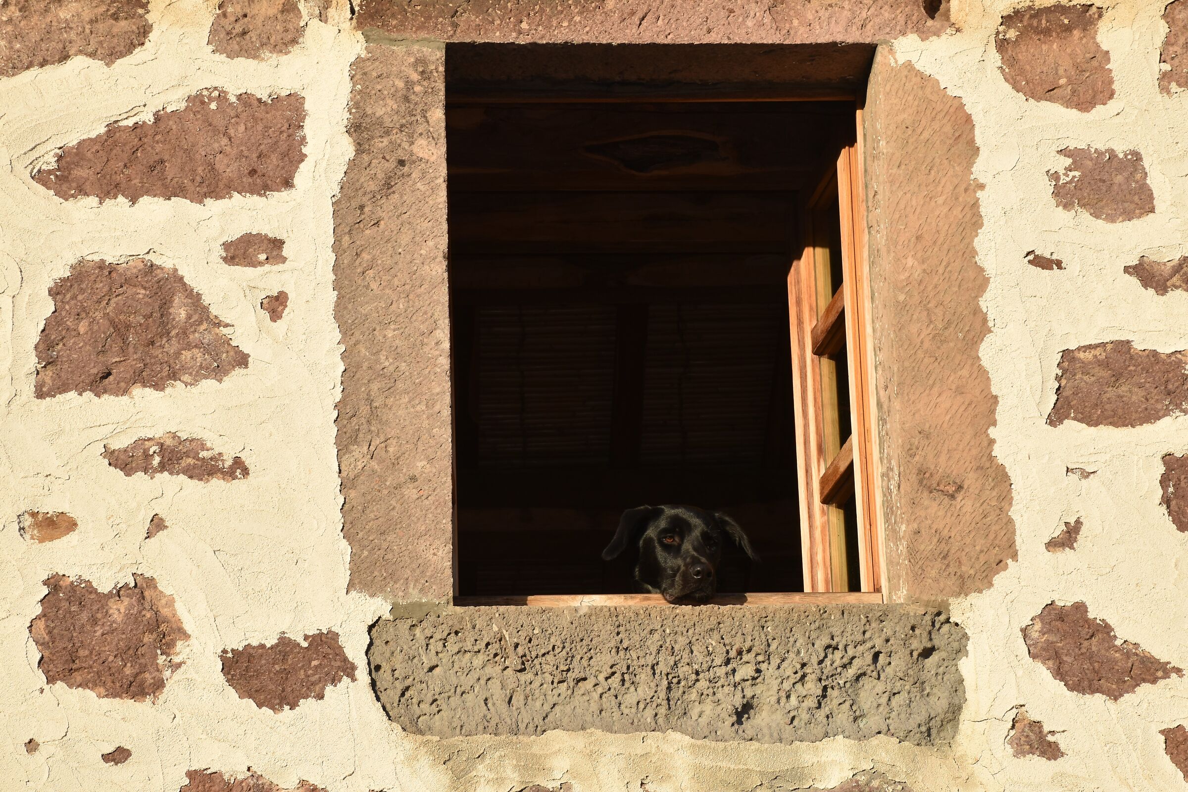 I wanted to go out too.....