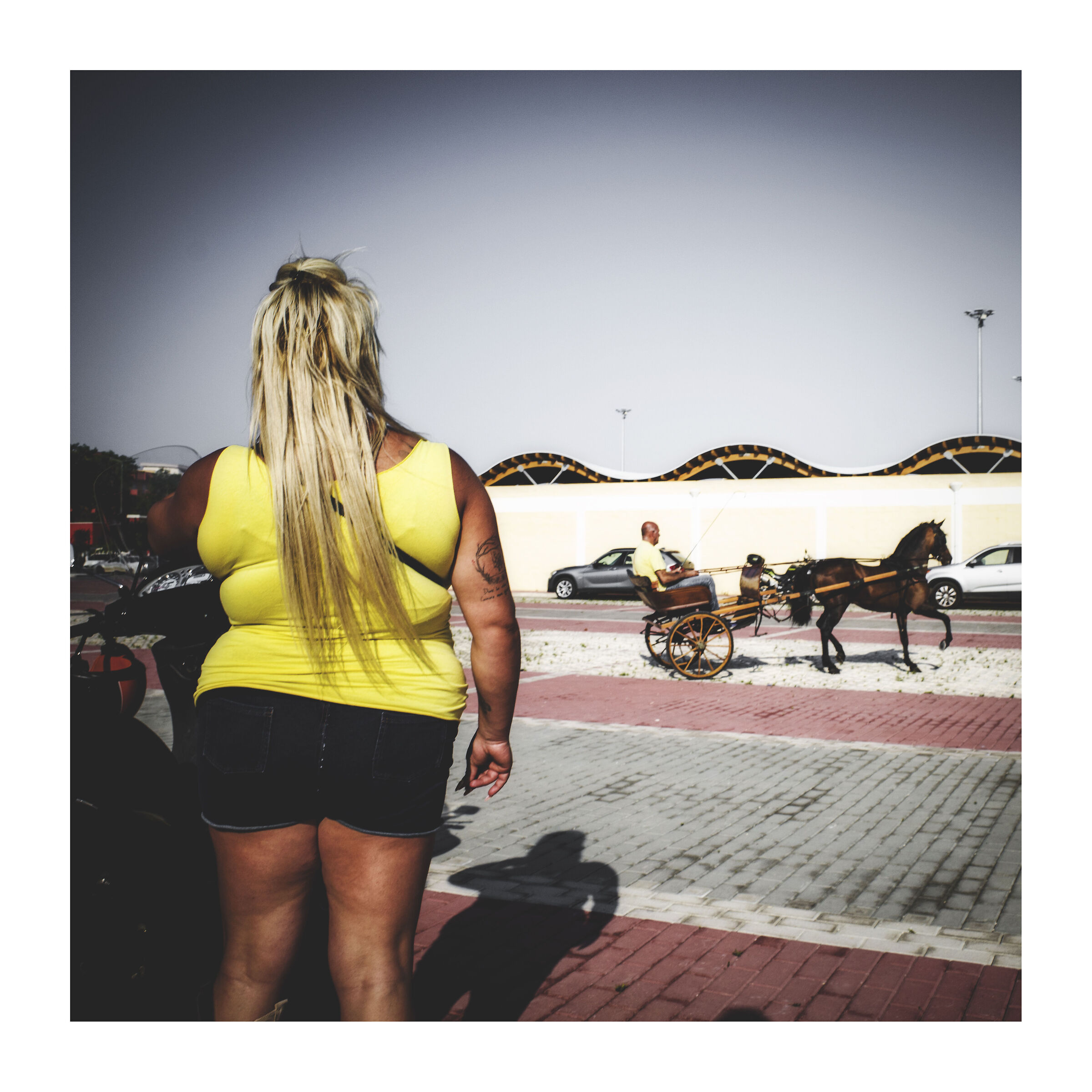Untitled Photo