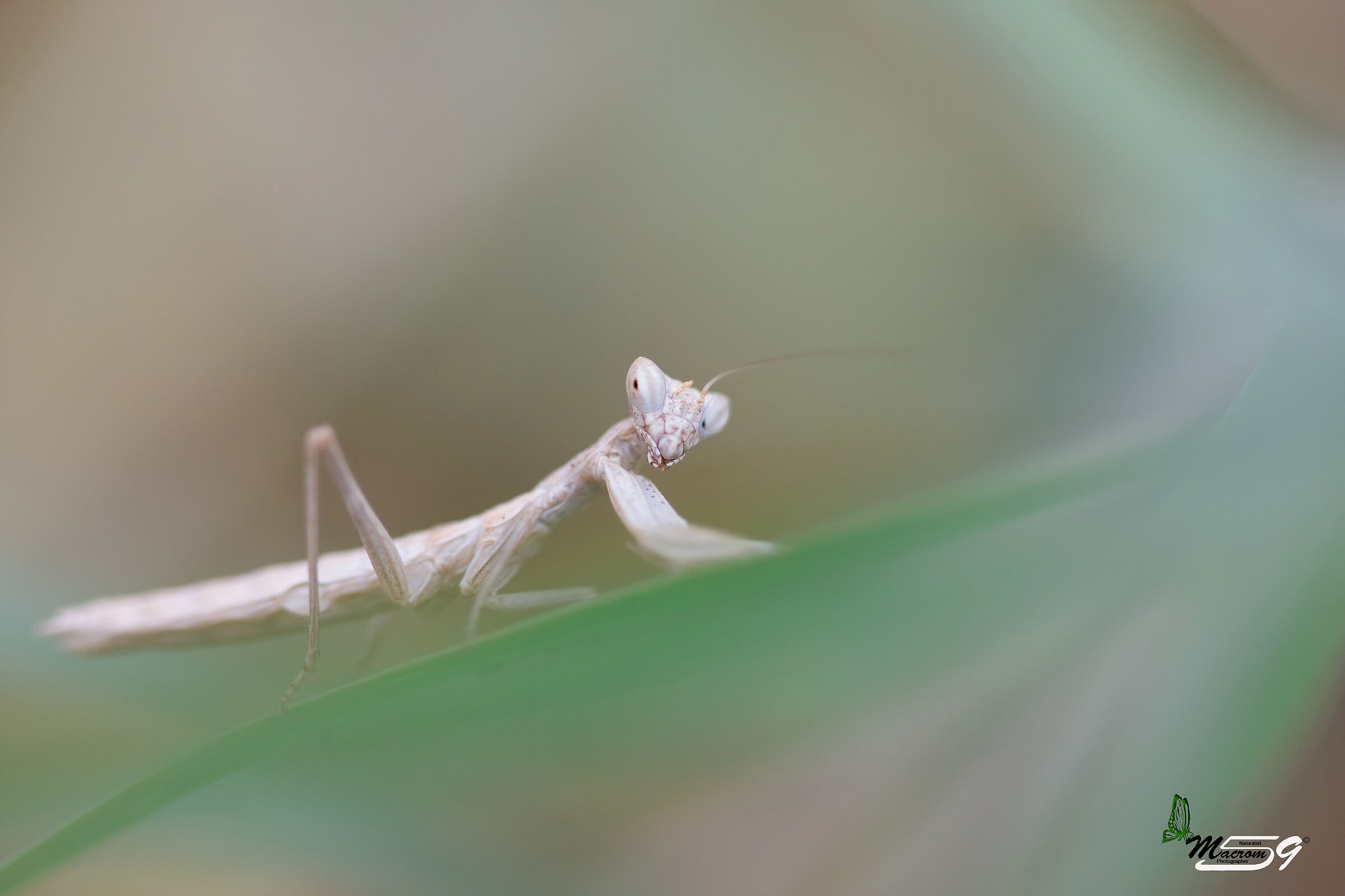f/2.8