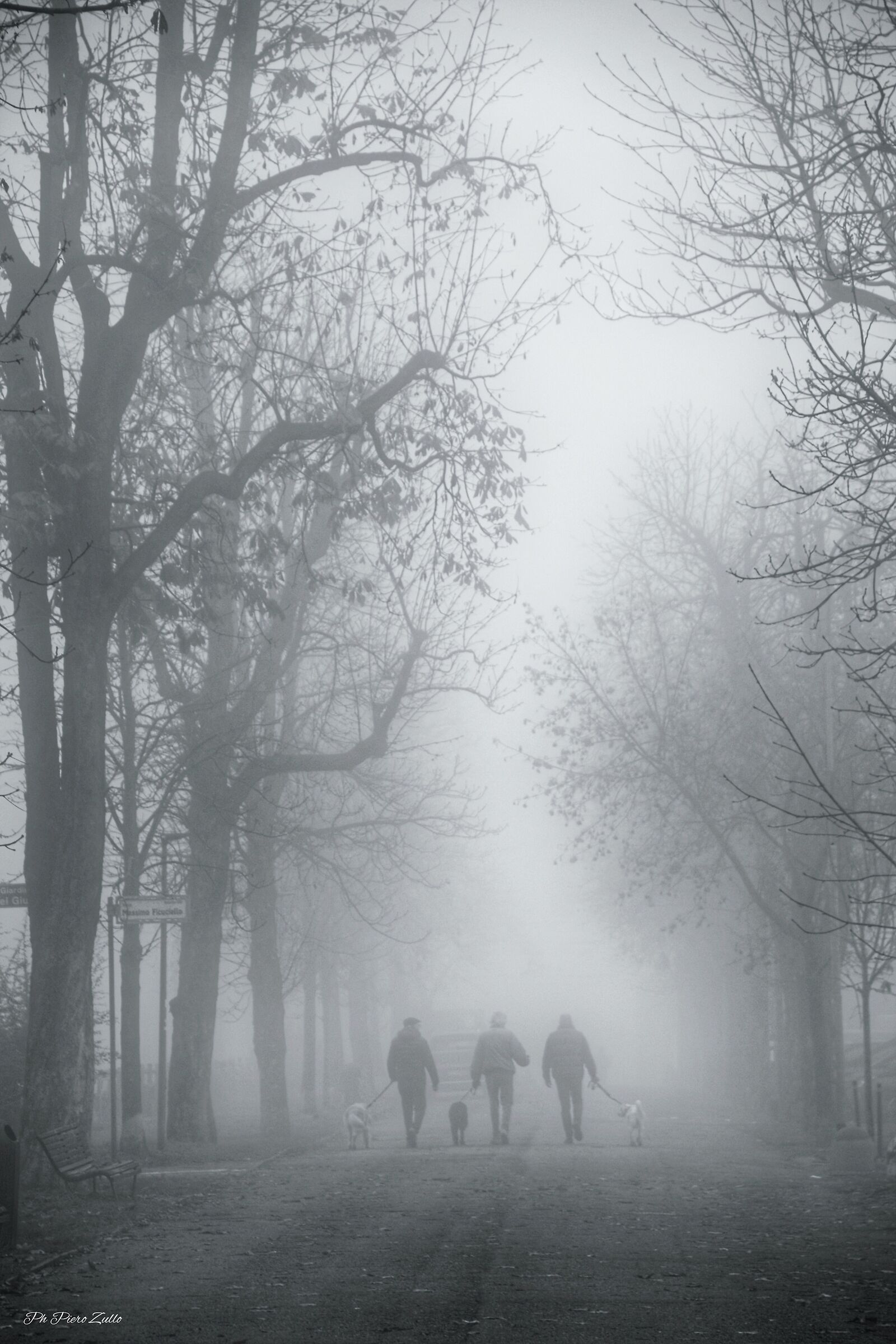 Walking with your dog