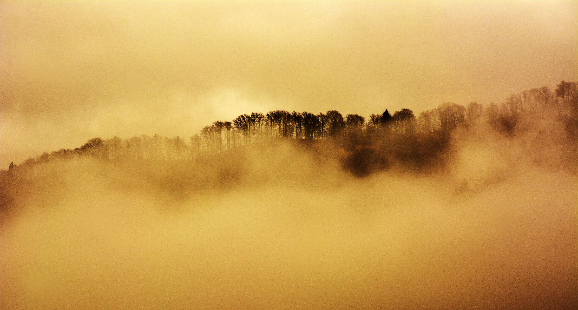 Nuvole e nebbia in giallo.