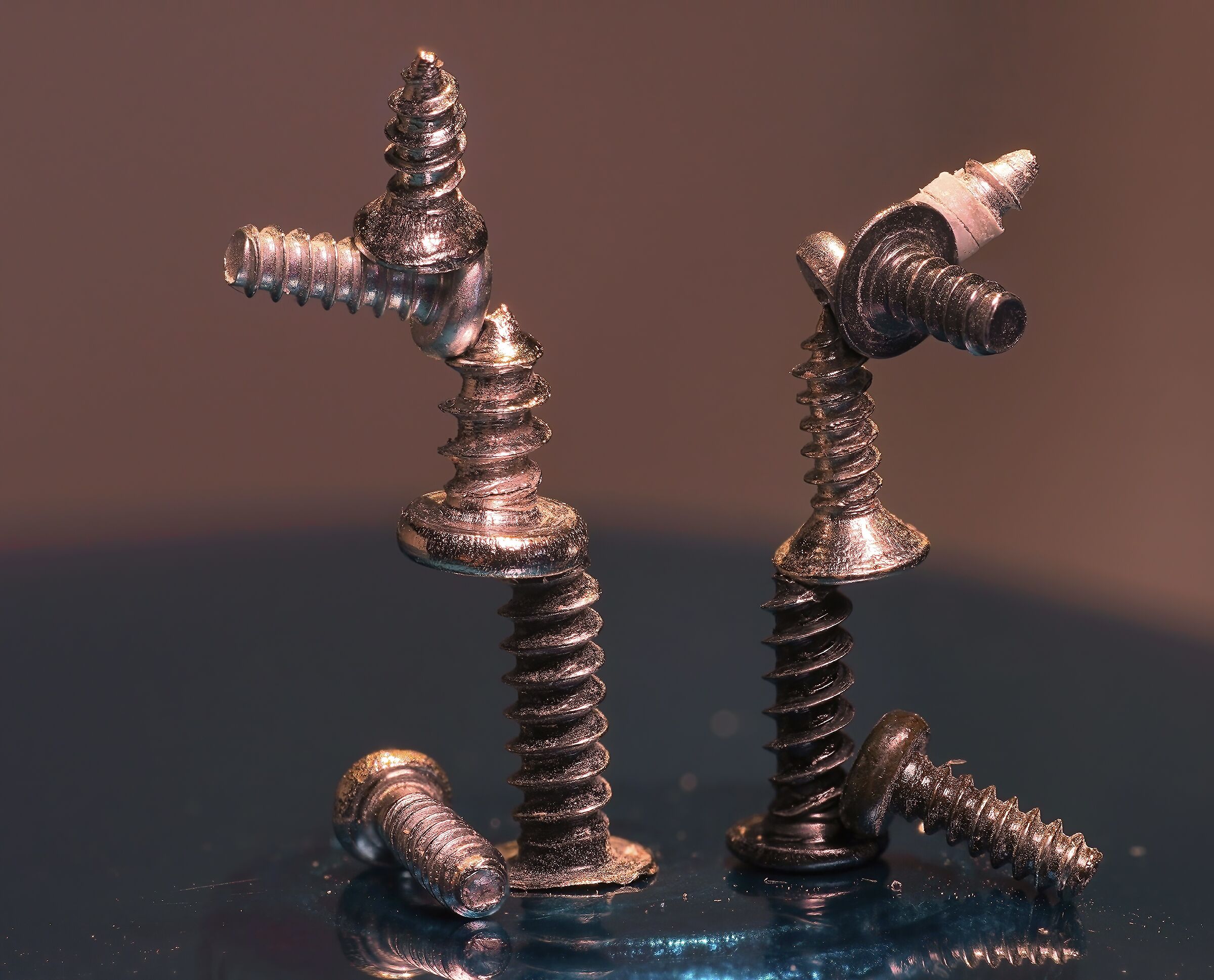 les equilibristes du cirque