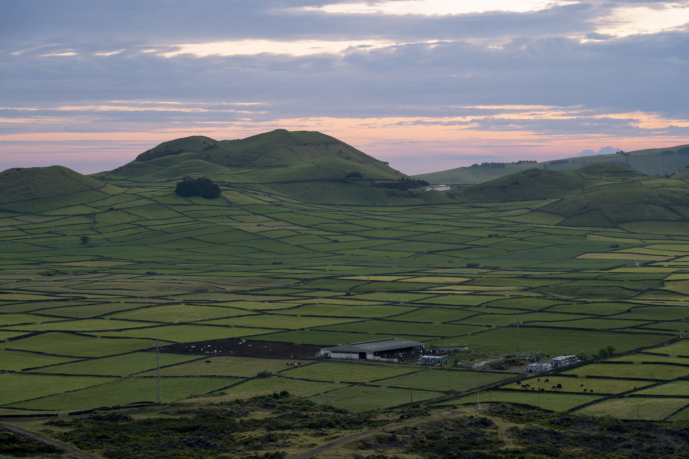 Terceira #2