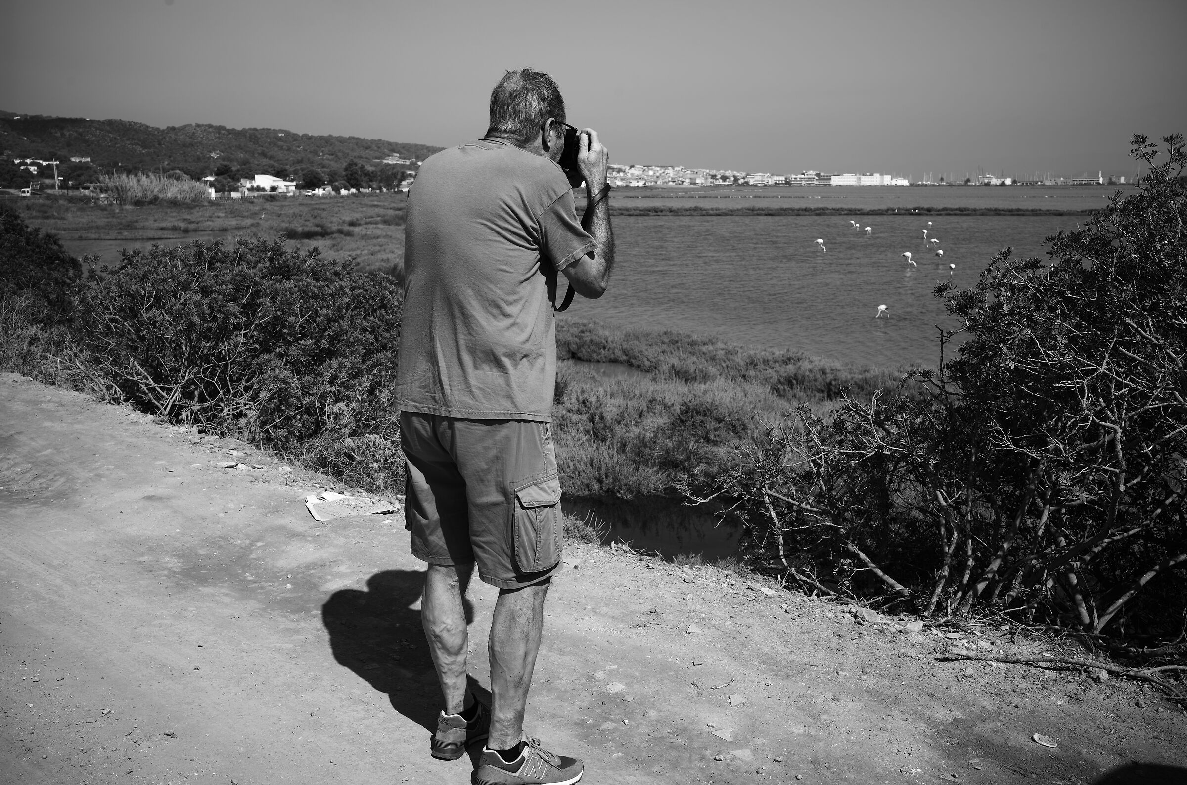 The Heron Photographer