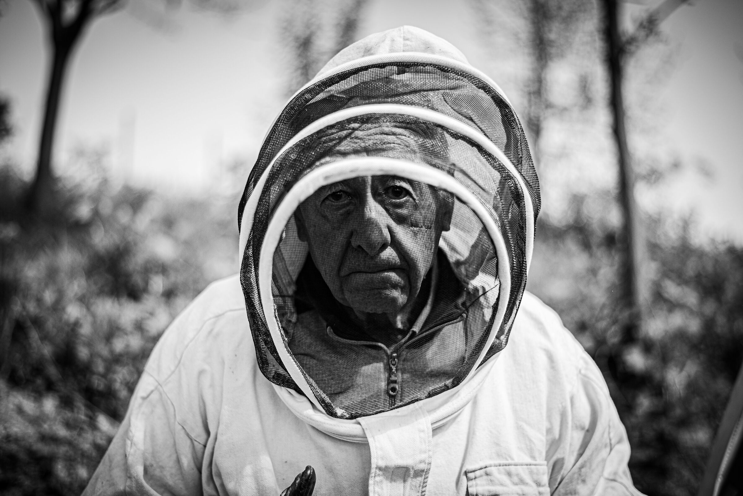 The elderly beekeeper
