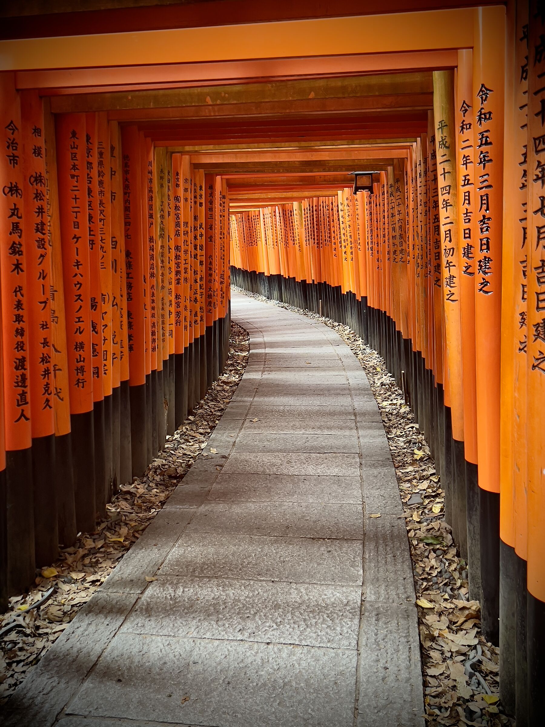 Fujimi inari