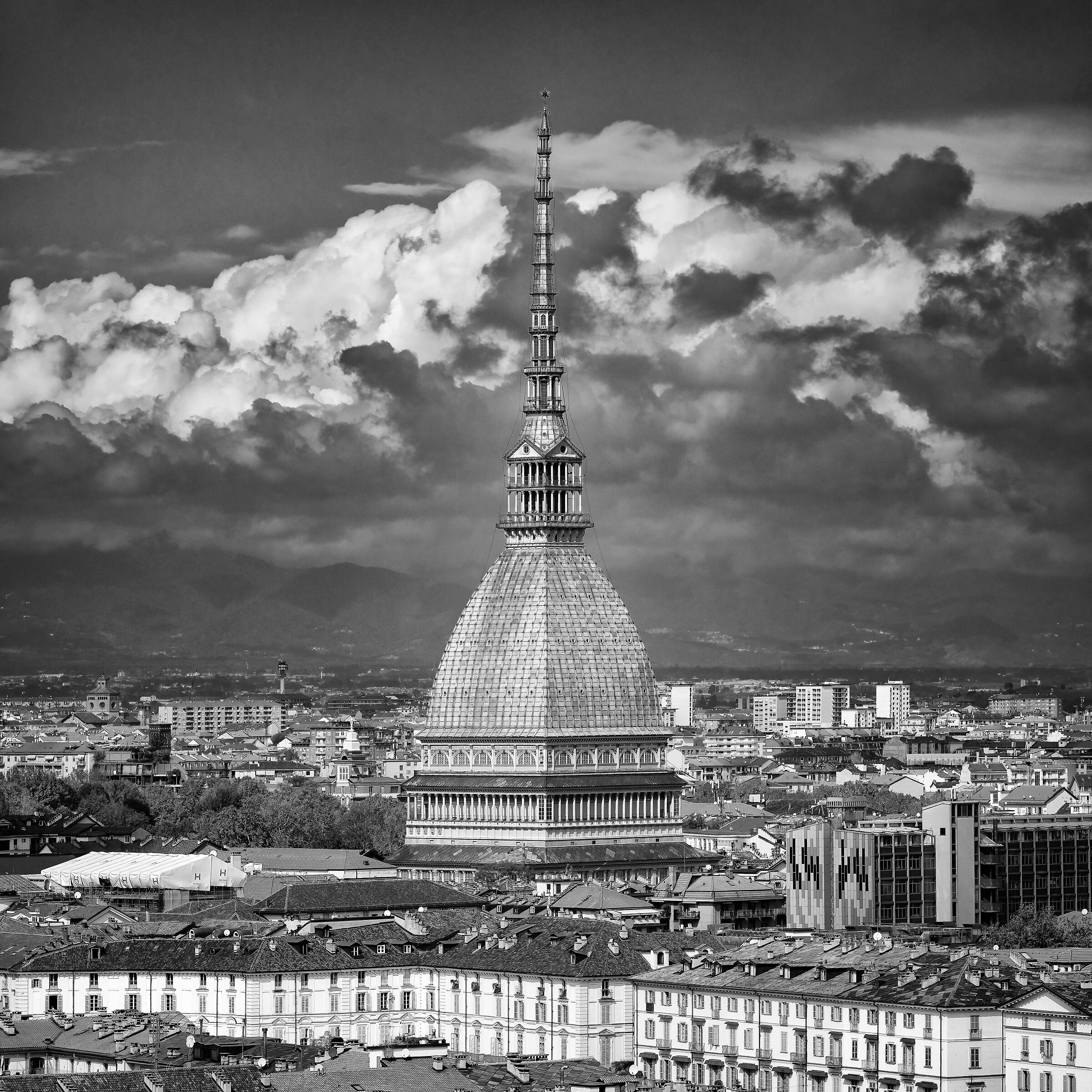Turin Monochrome