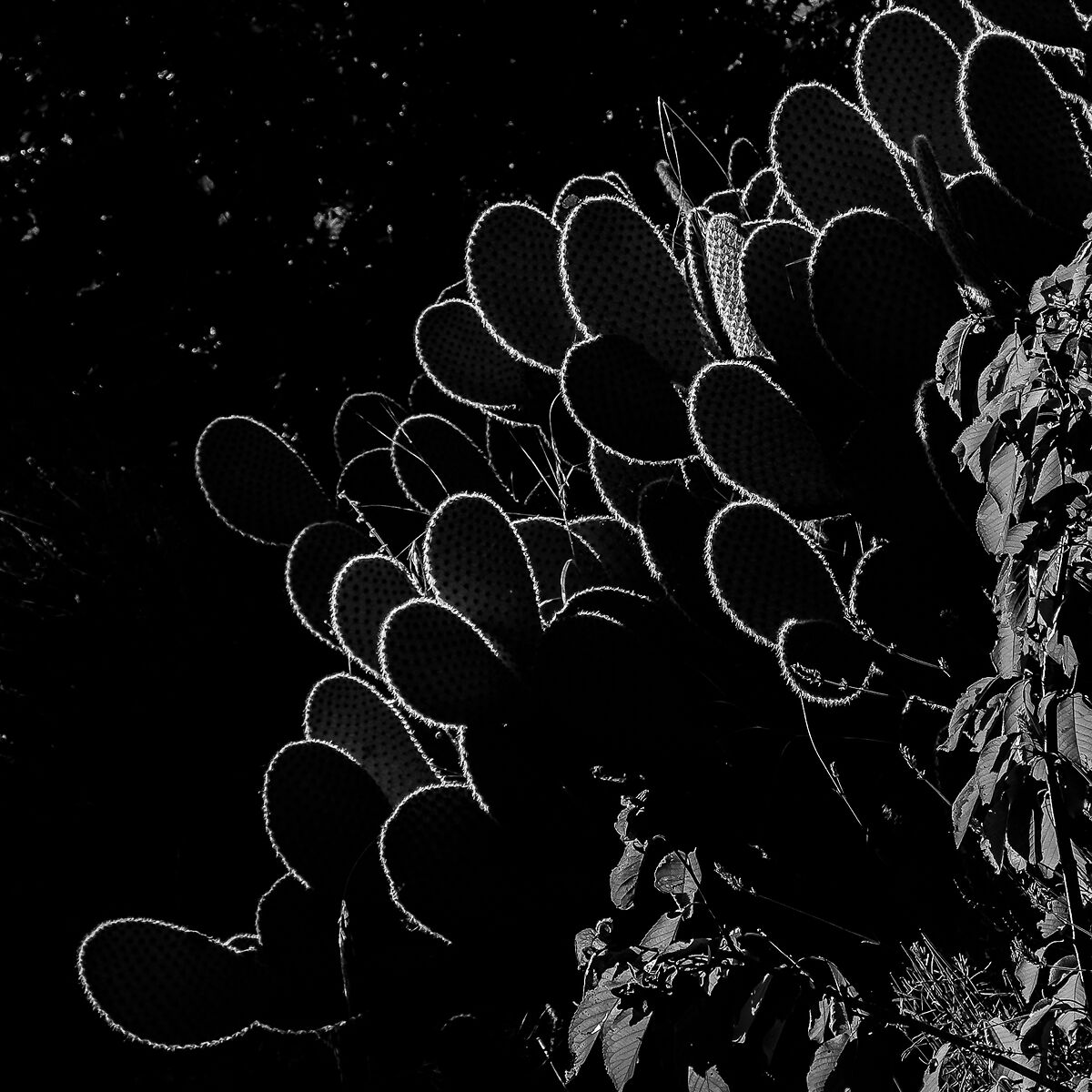 Luci e ombre d'Appennino