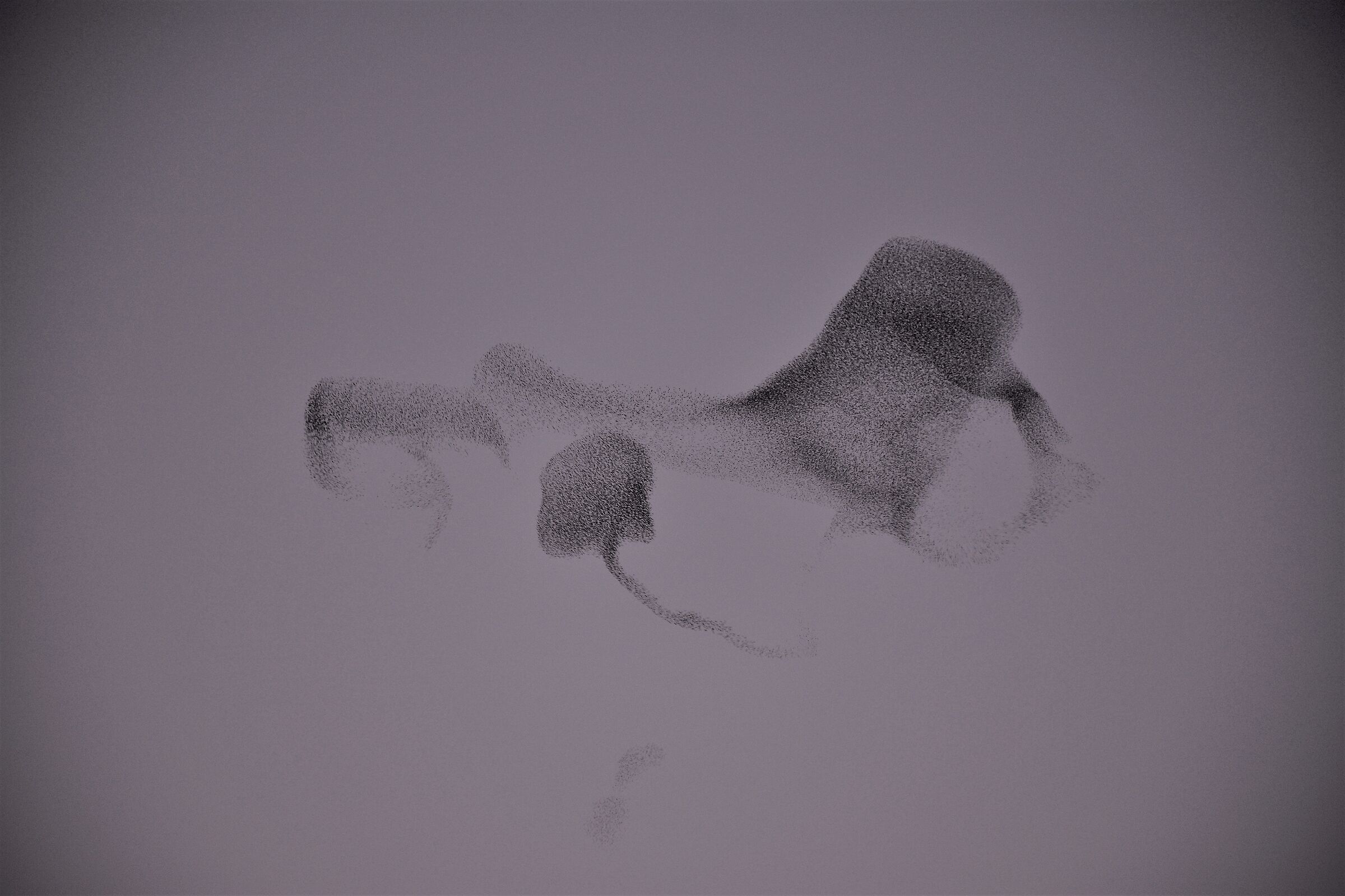 Caffettiera e mouse...