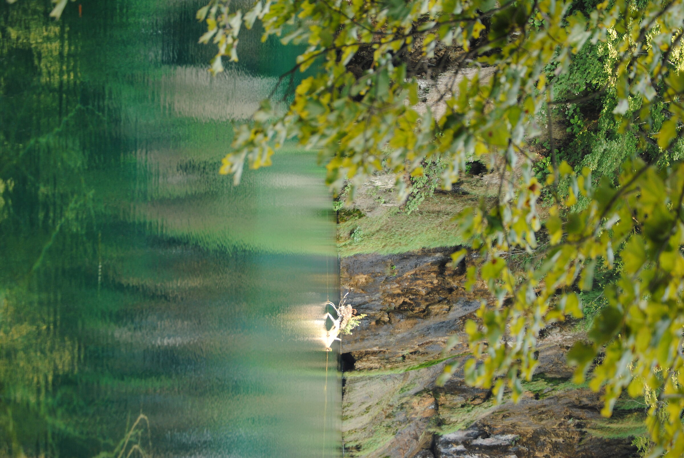 Plitvice Lakes, Croatia