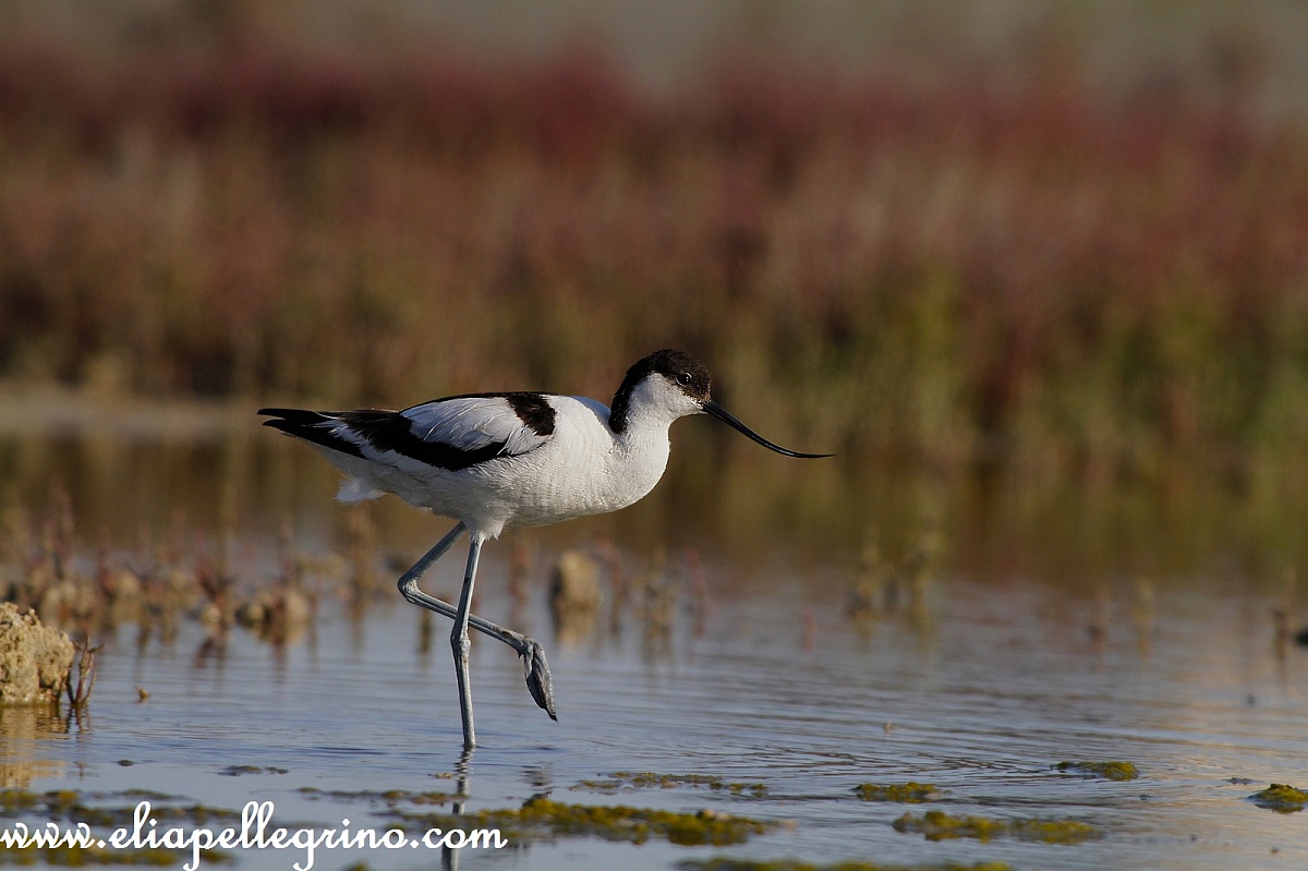 passeggio con classe