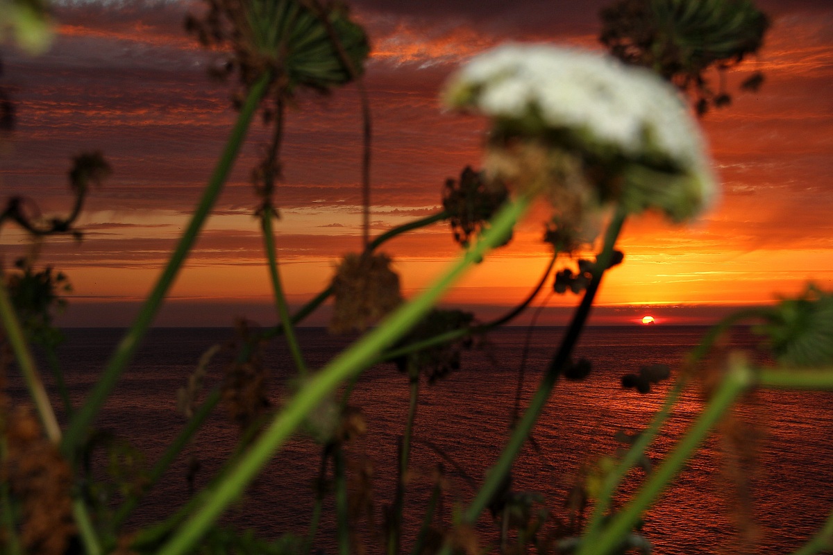 Giocando al tramonto