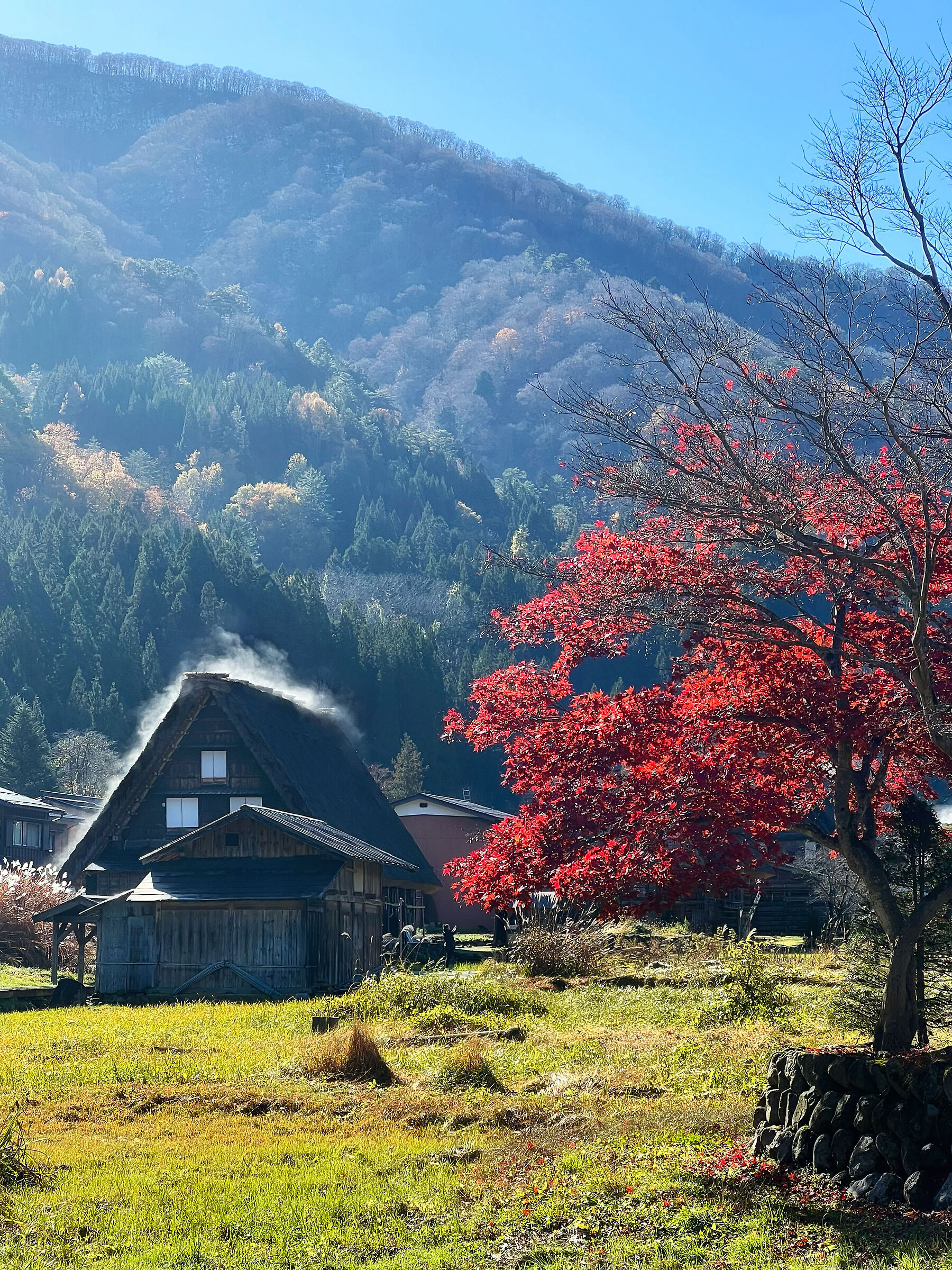 The Japanese autumn
