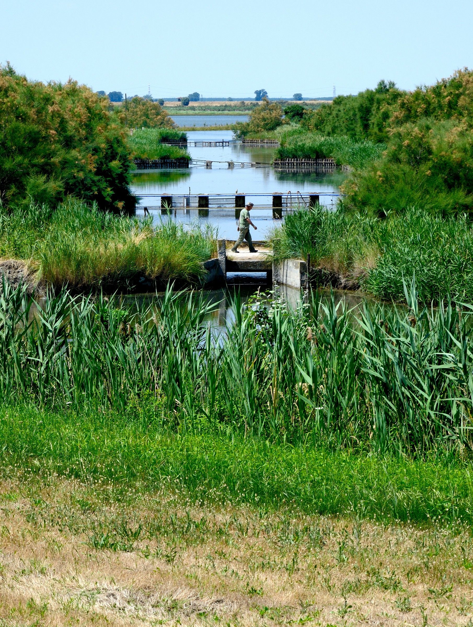 Parco del Delta del Po