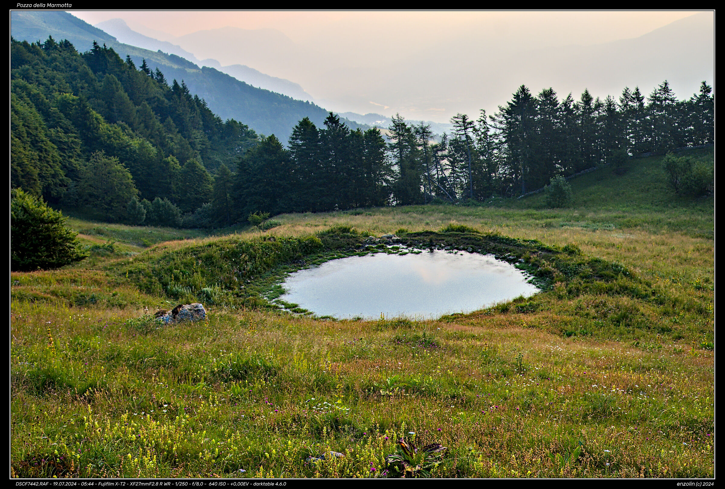 Marmot Pool