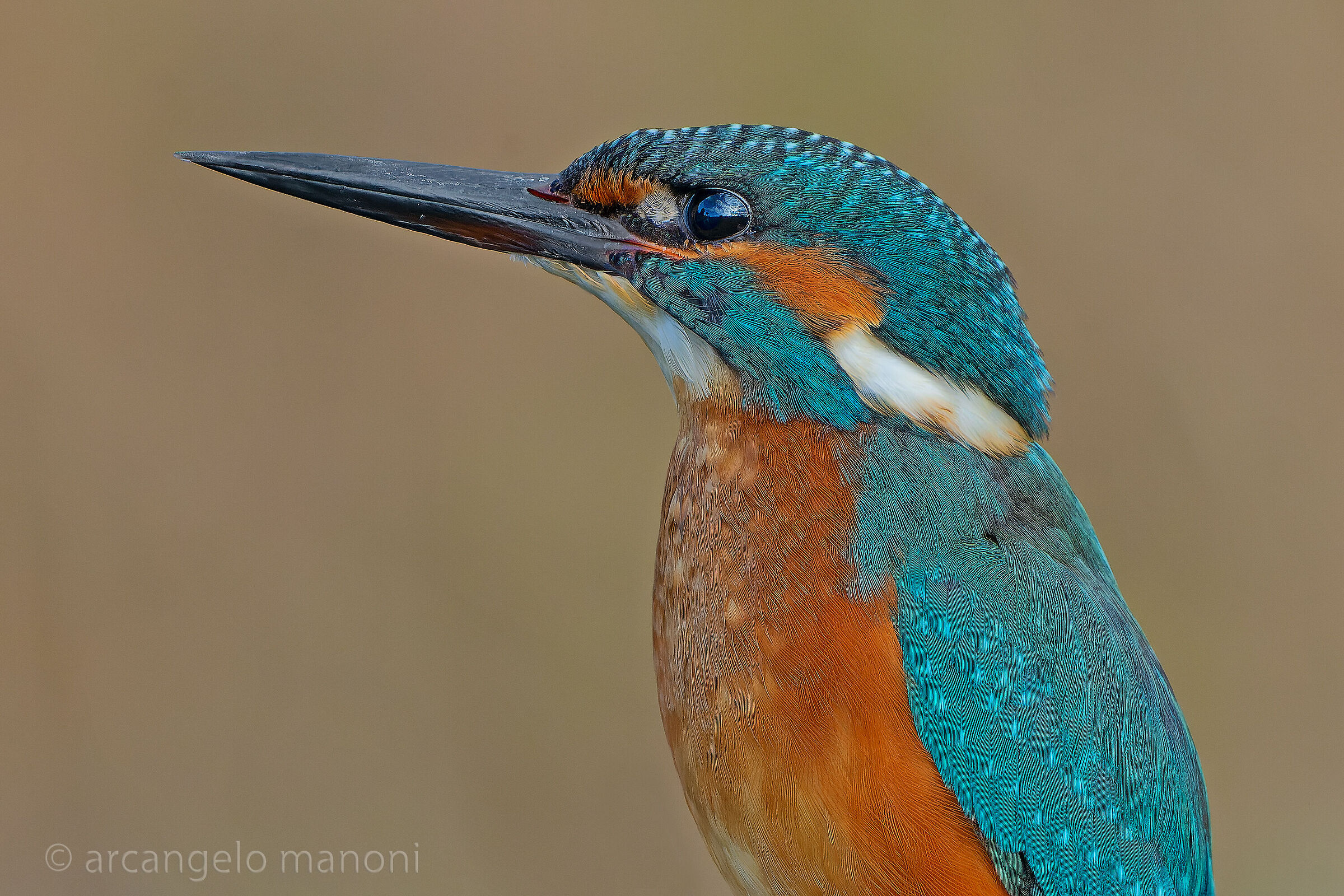 Foto tessera al martino