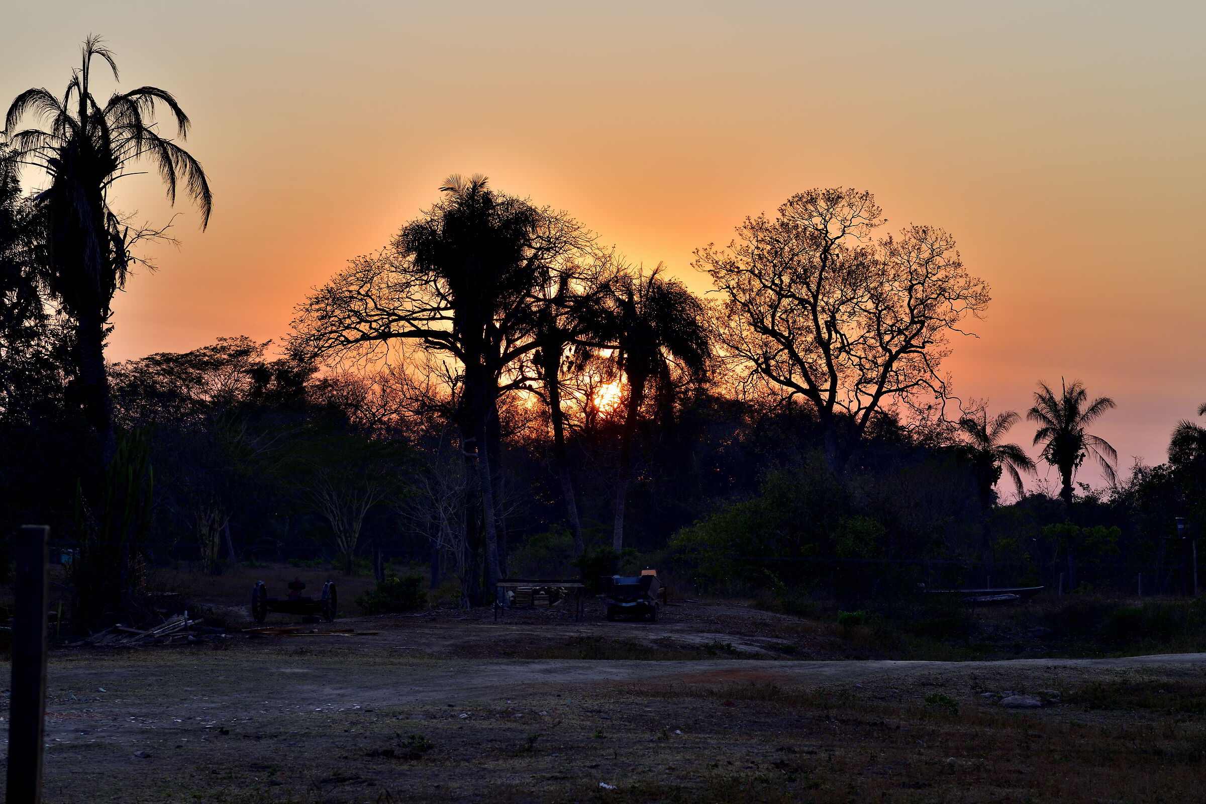 Pantanal
