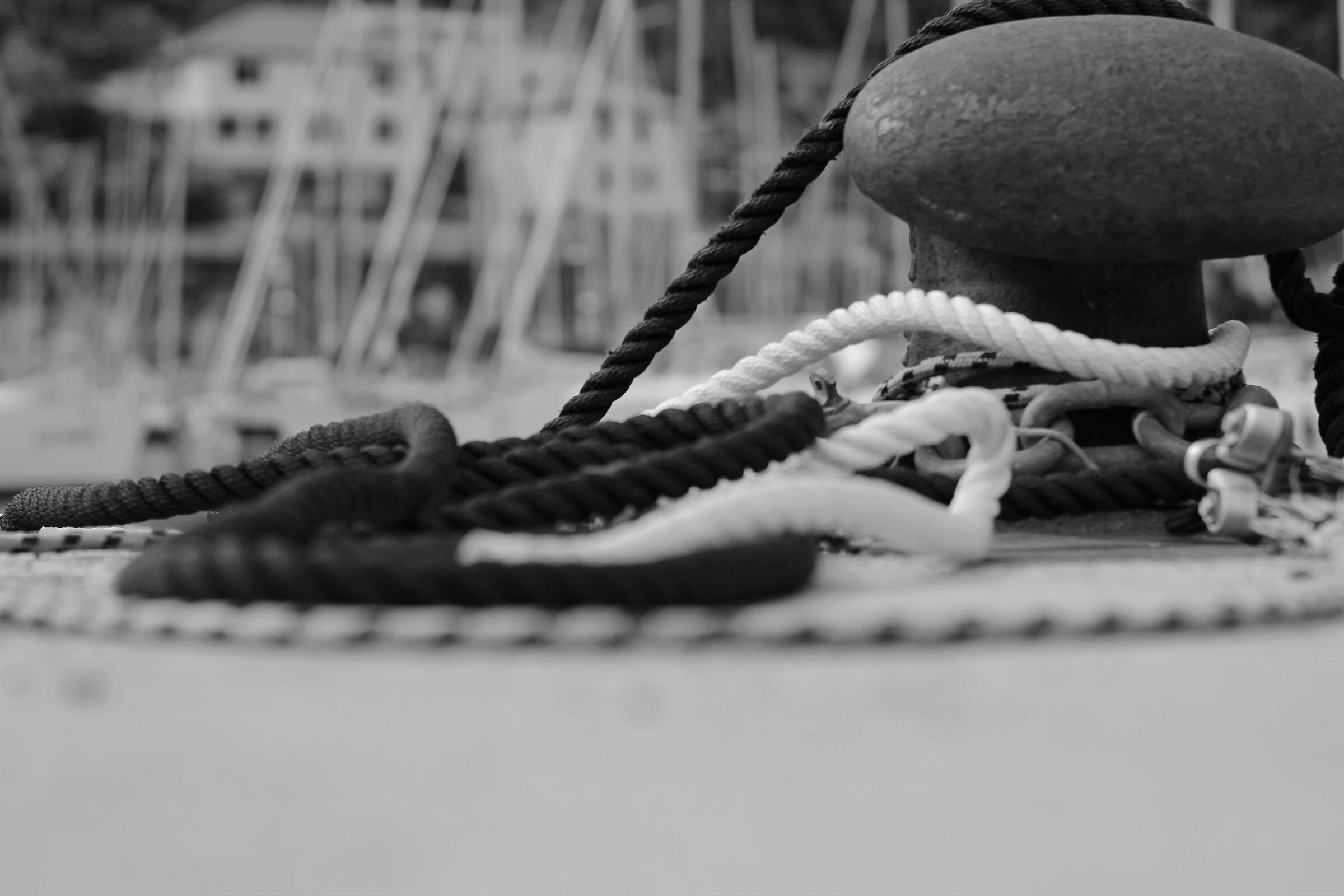 Black & White
