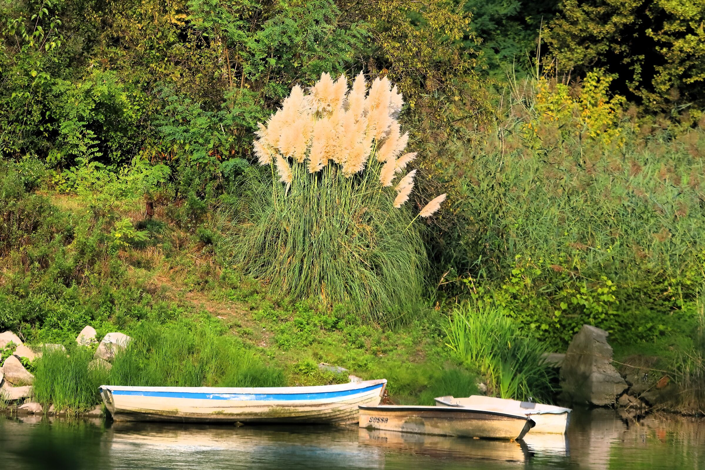 Scorcio 22 settembre 2024 - 0003