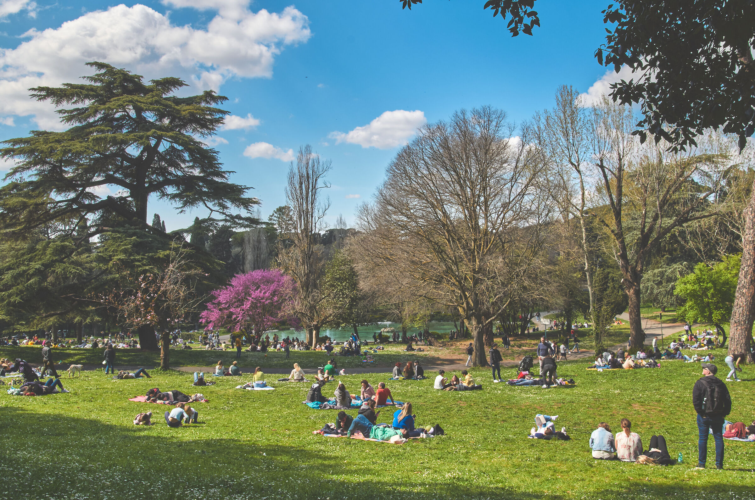 Le déjeuner sur l'herbe