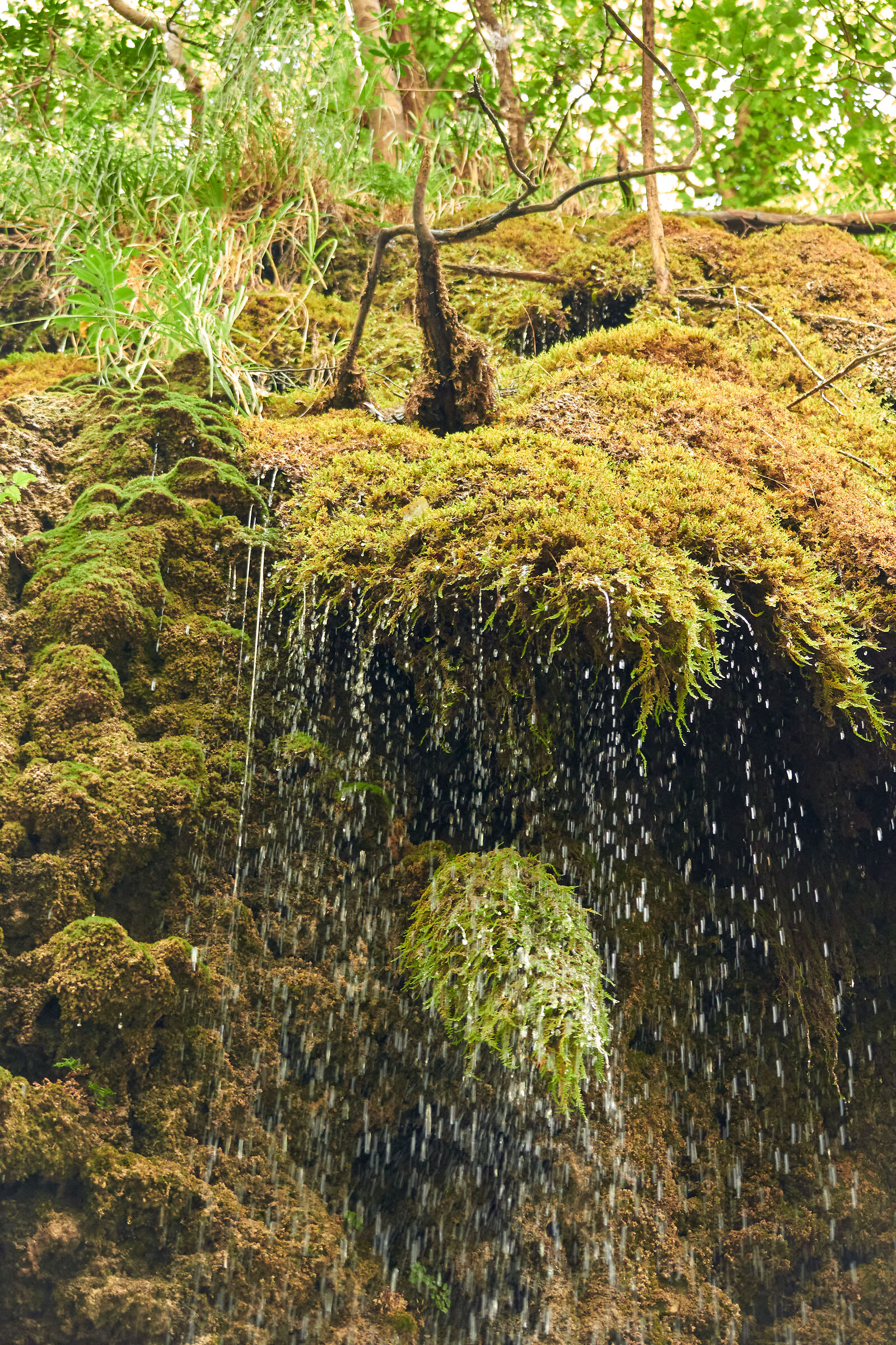 Like in a science book