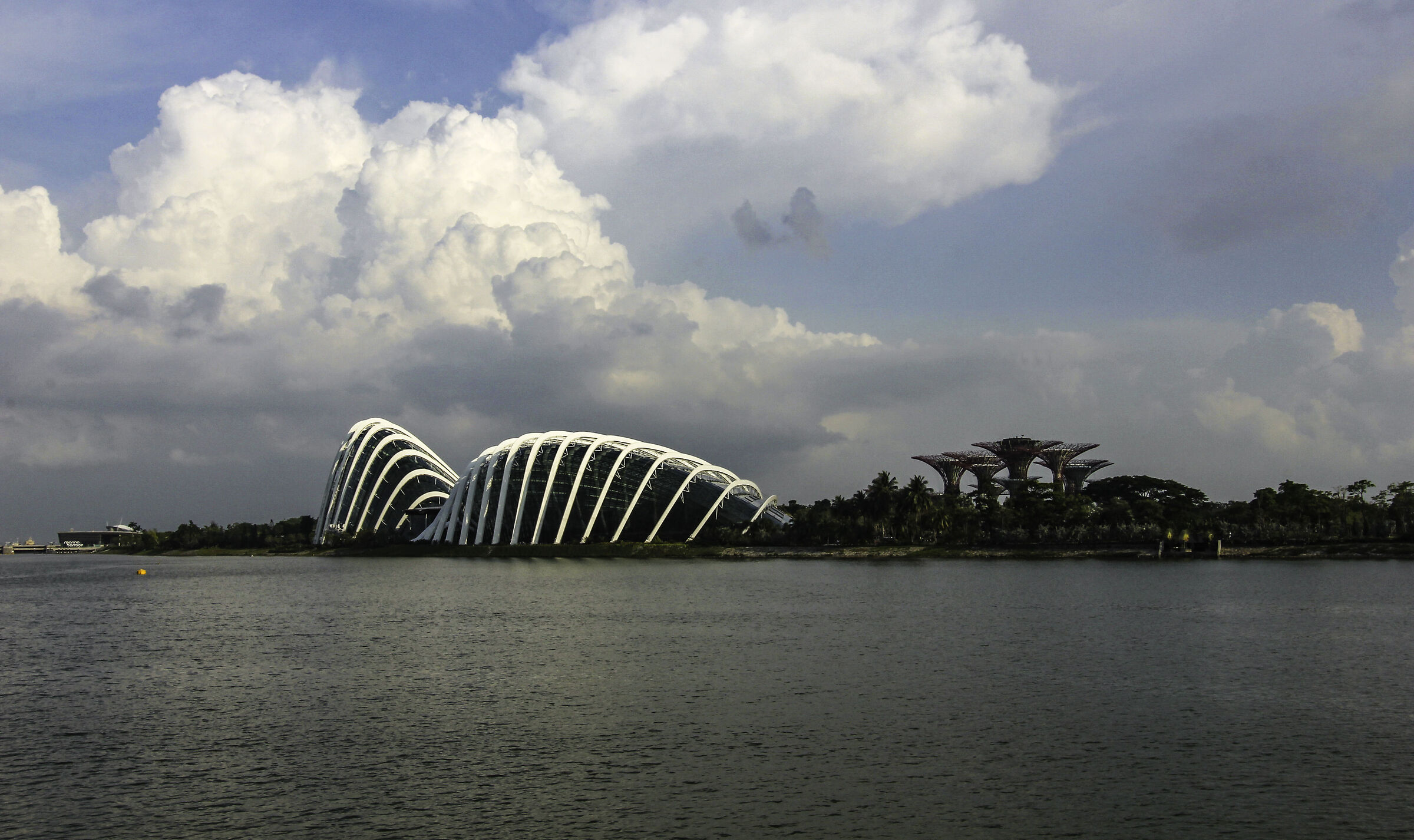 Singapore garden