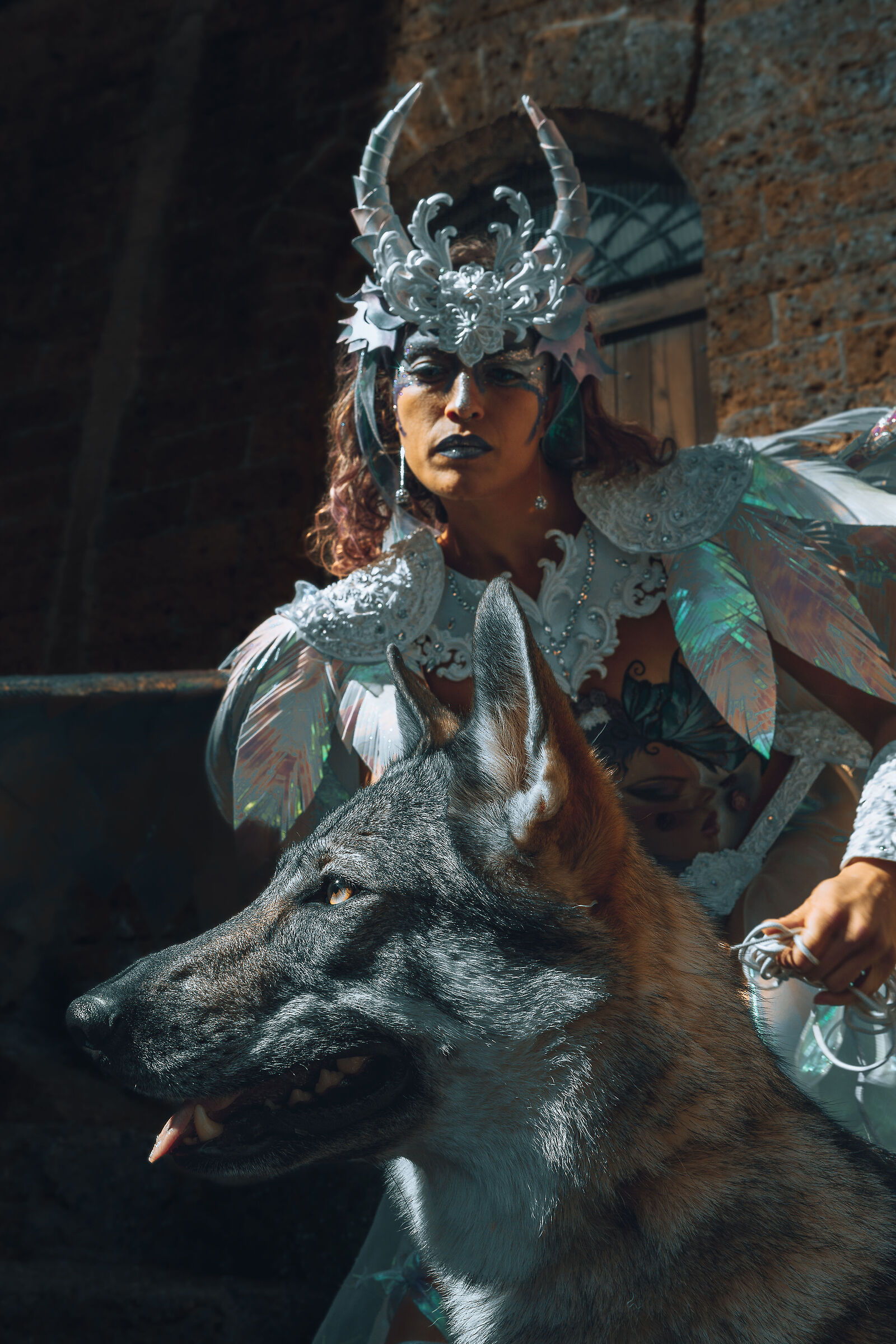 The Fairy and the Wolf