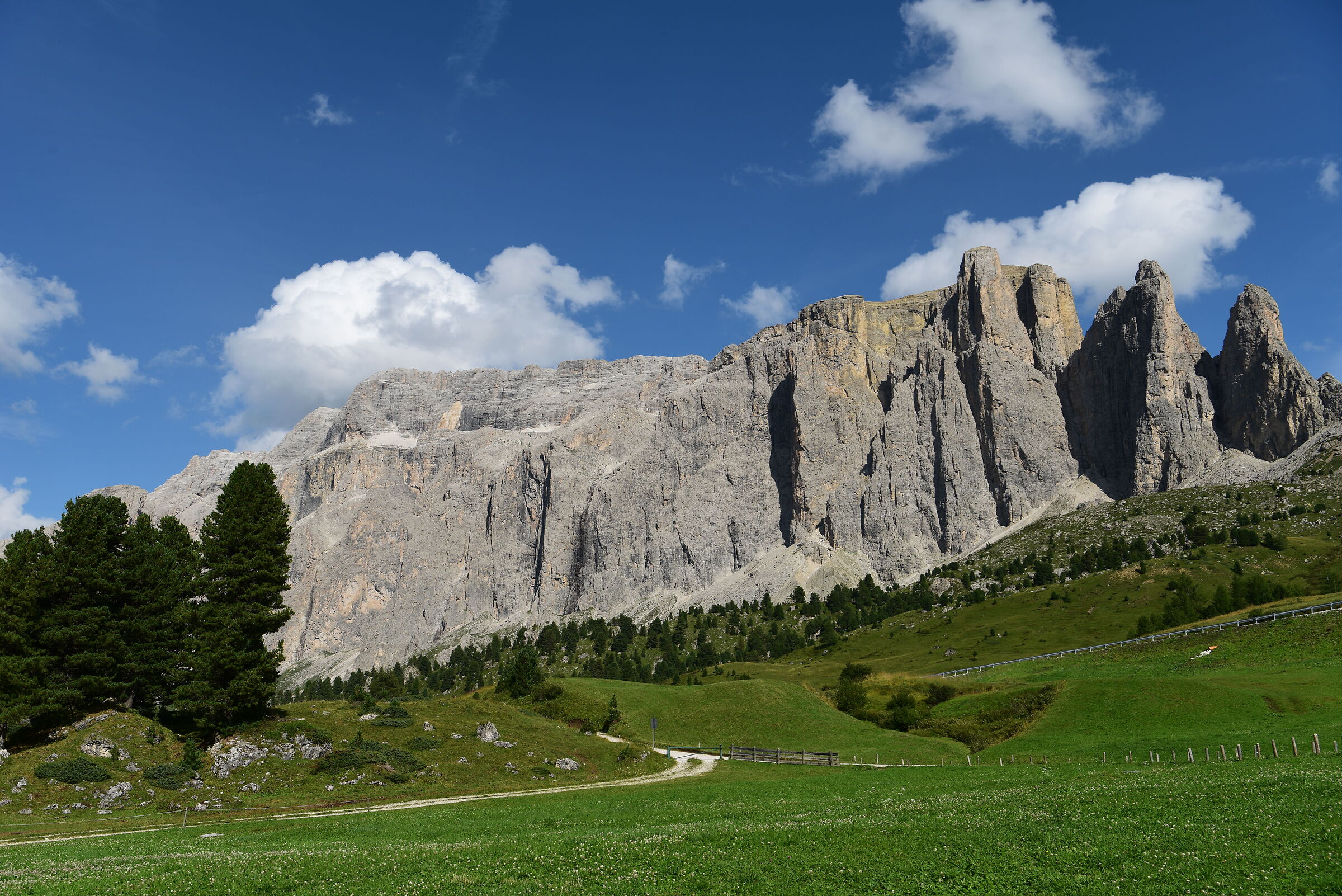 Dolomiti