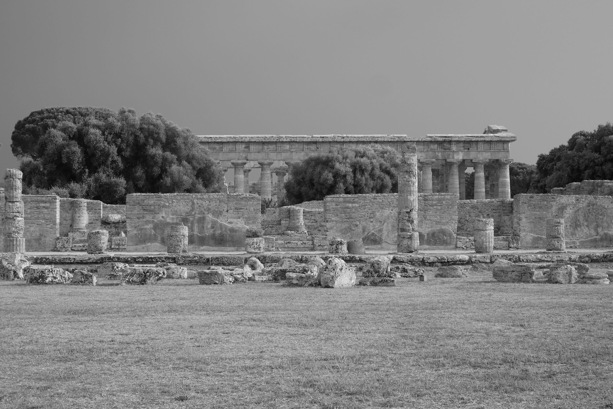 Paestum