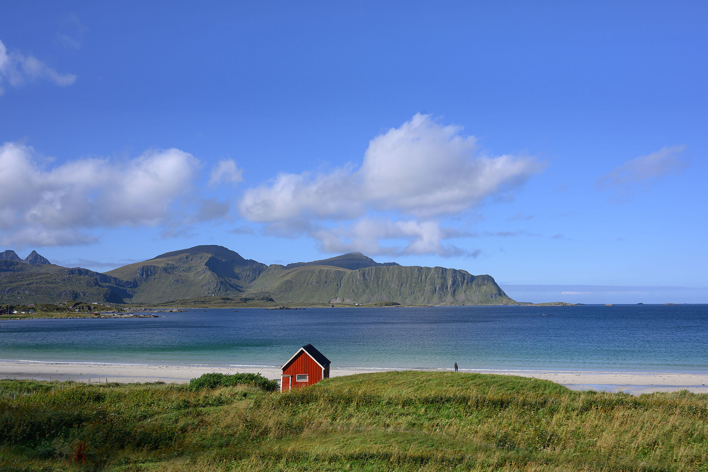 The Little Red House