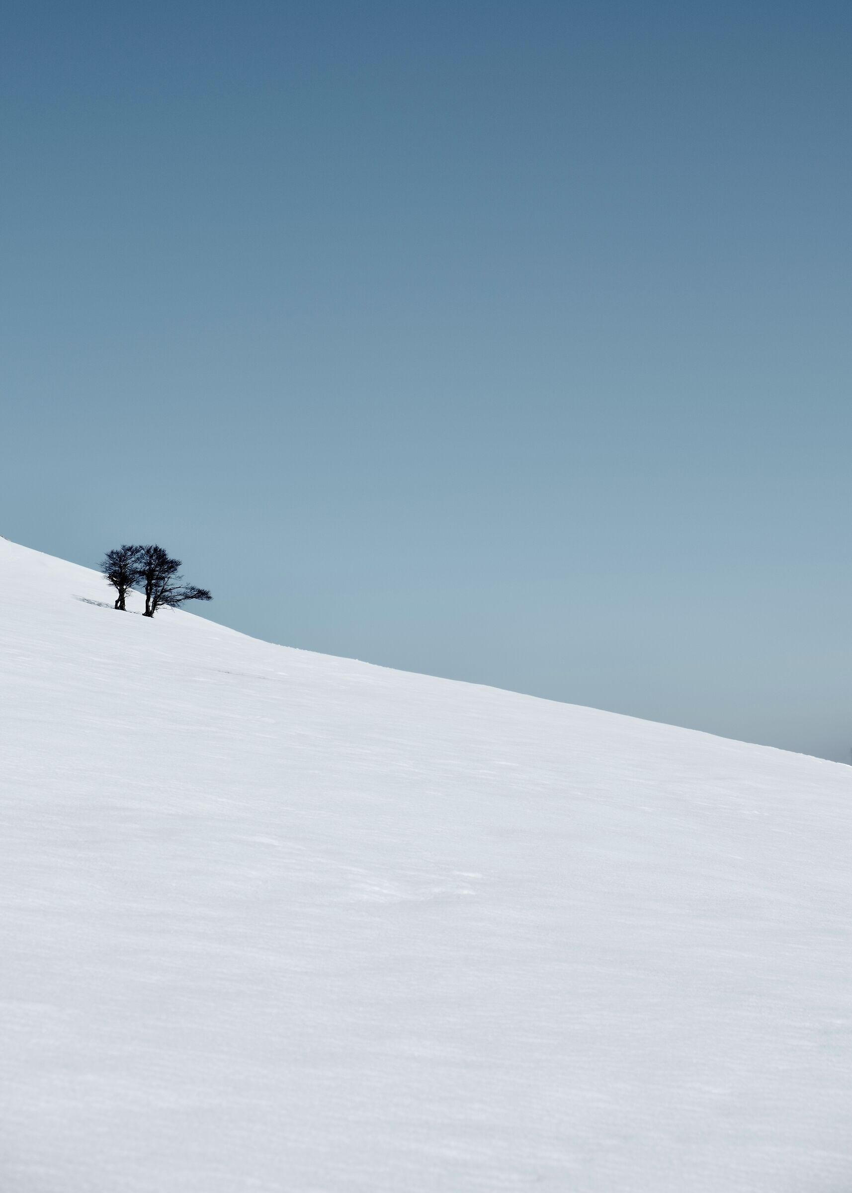 Minimal