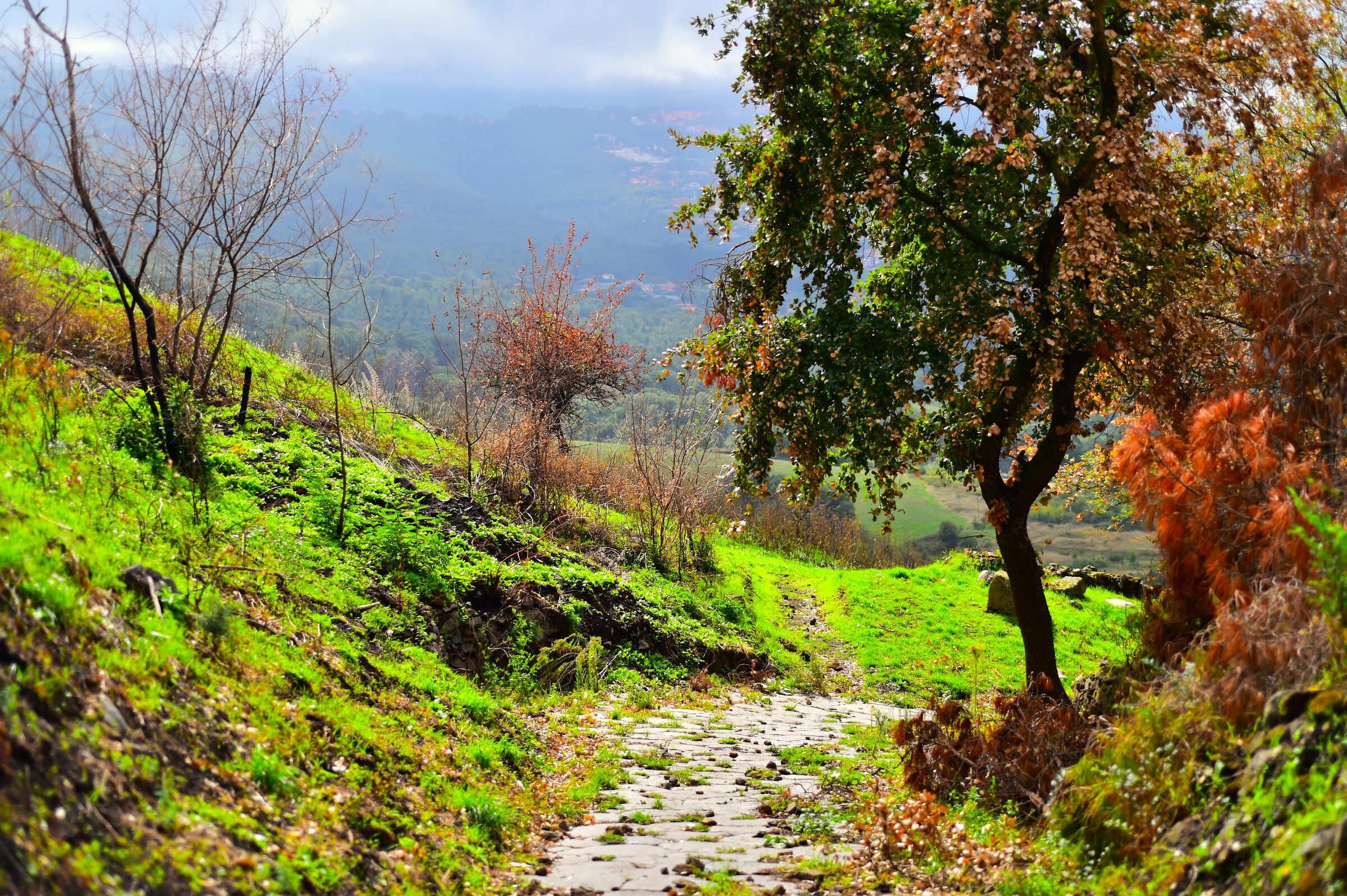 un poco di foschia, un poco di autunno