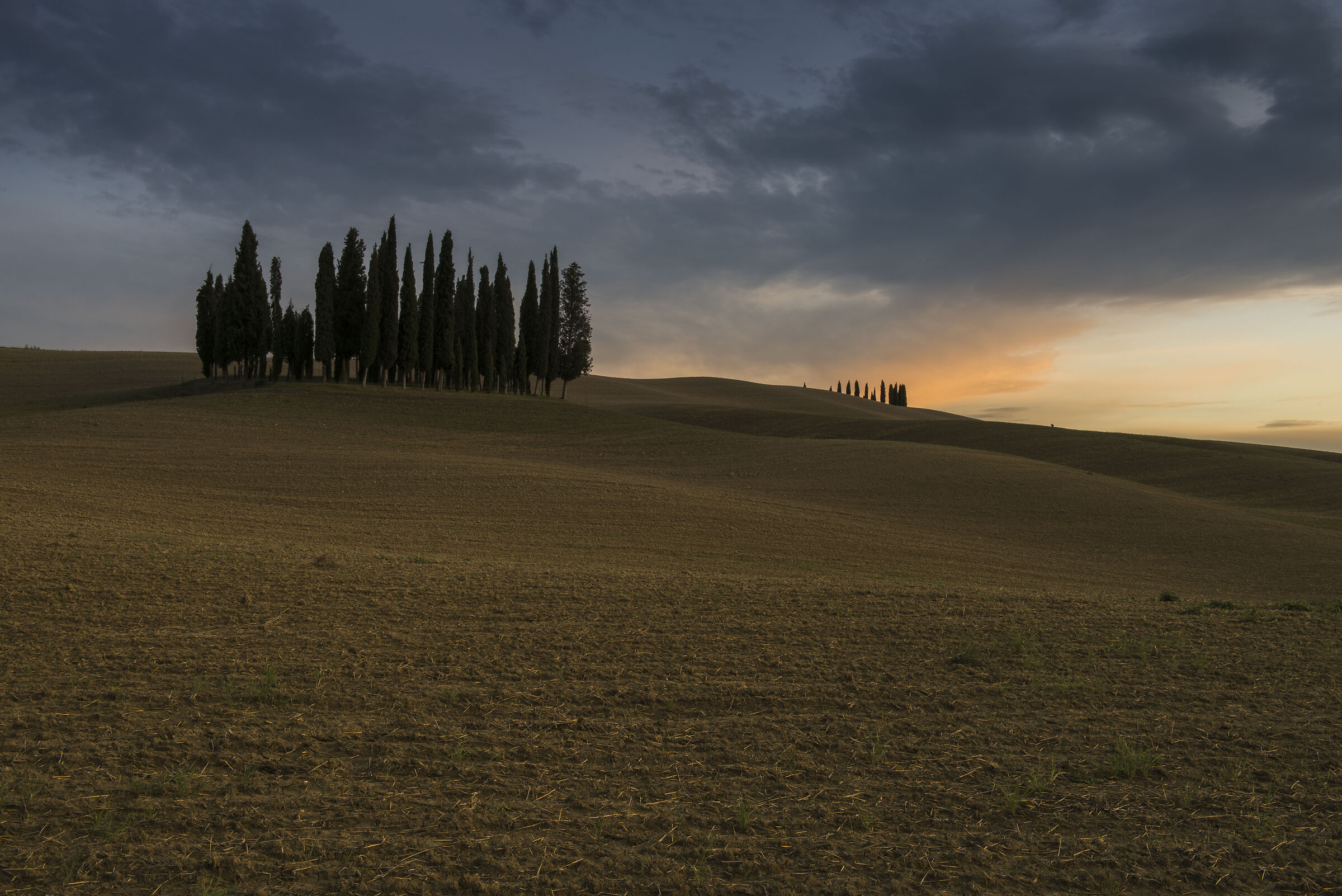 Terre d'Orcia