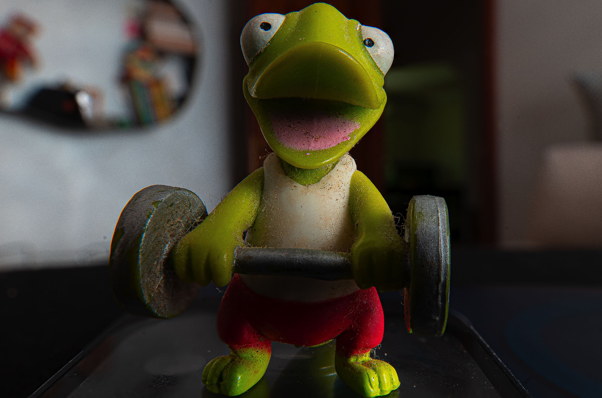 Prima Prova Focus Stacking