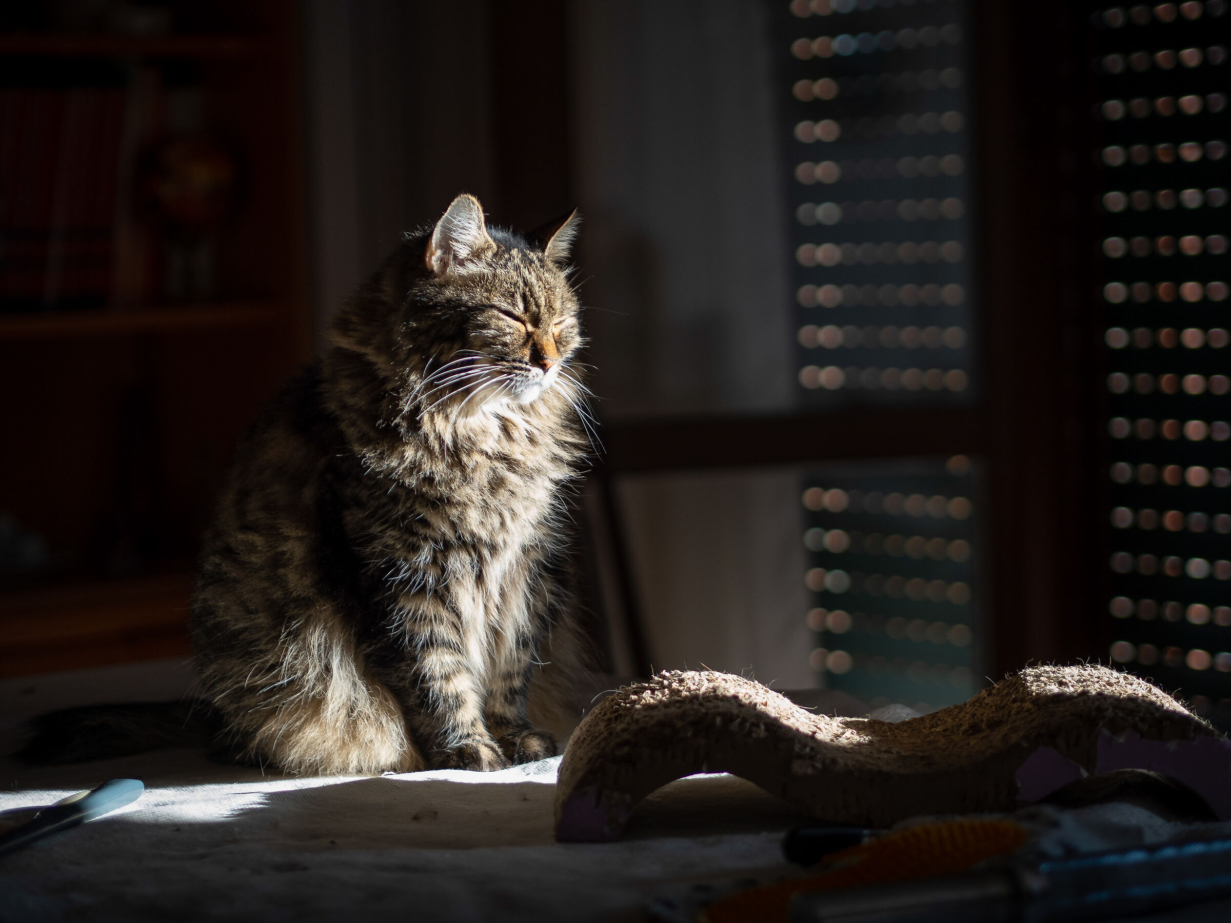 Il sole del risveglio