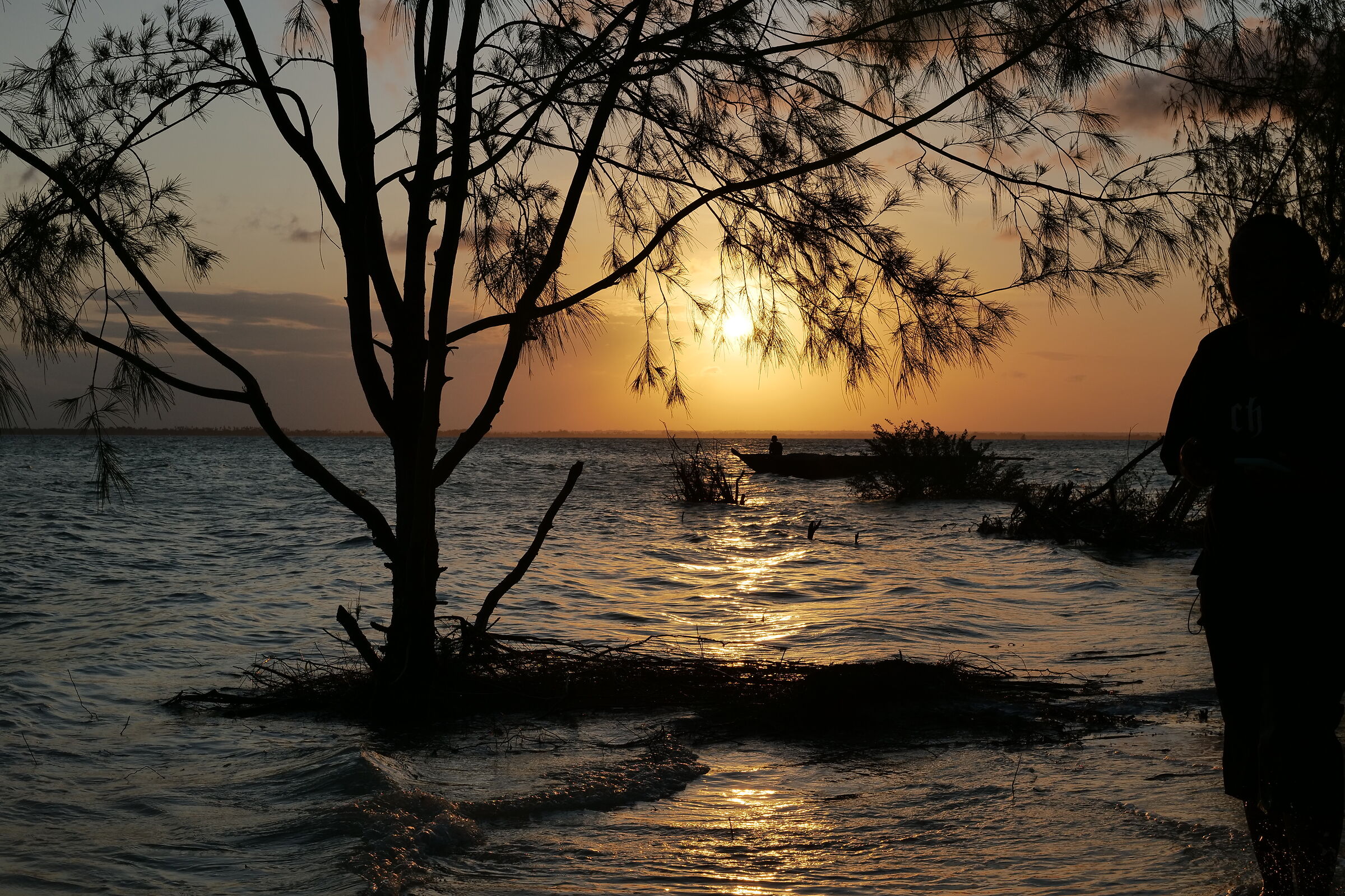 Untitled Photo