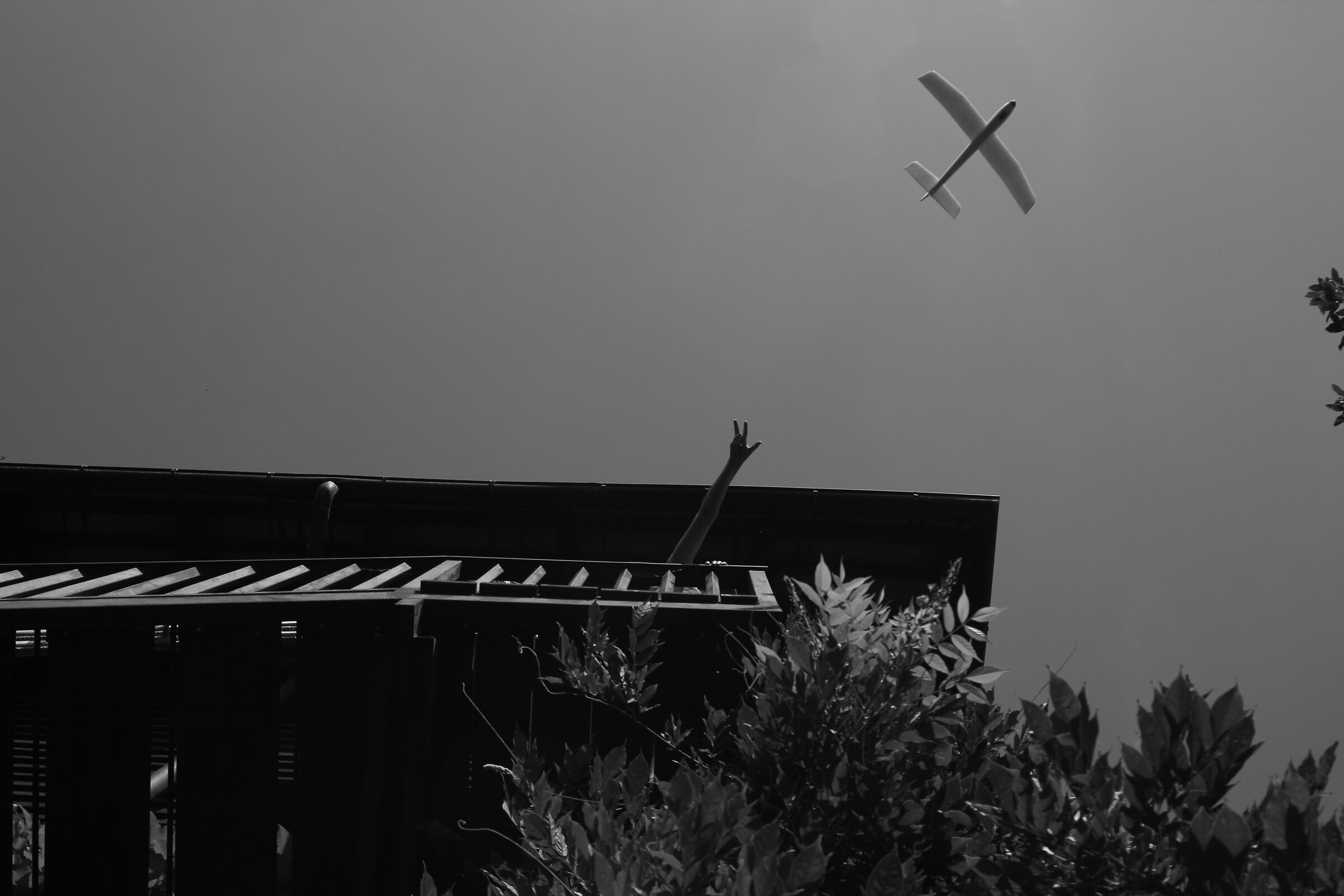 "I want to fly"