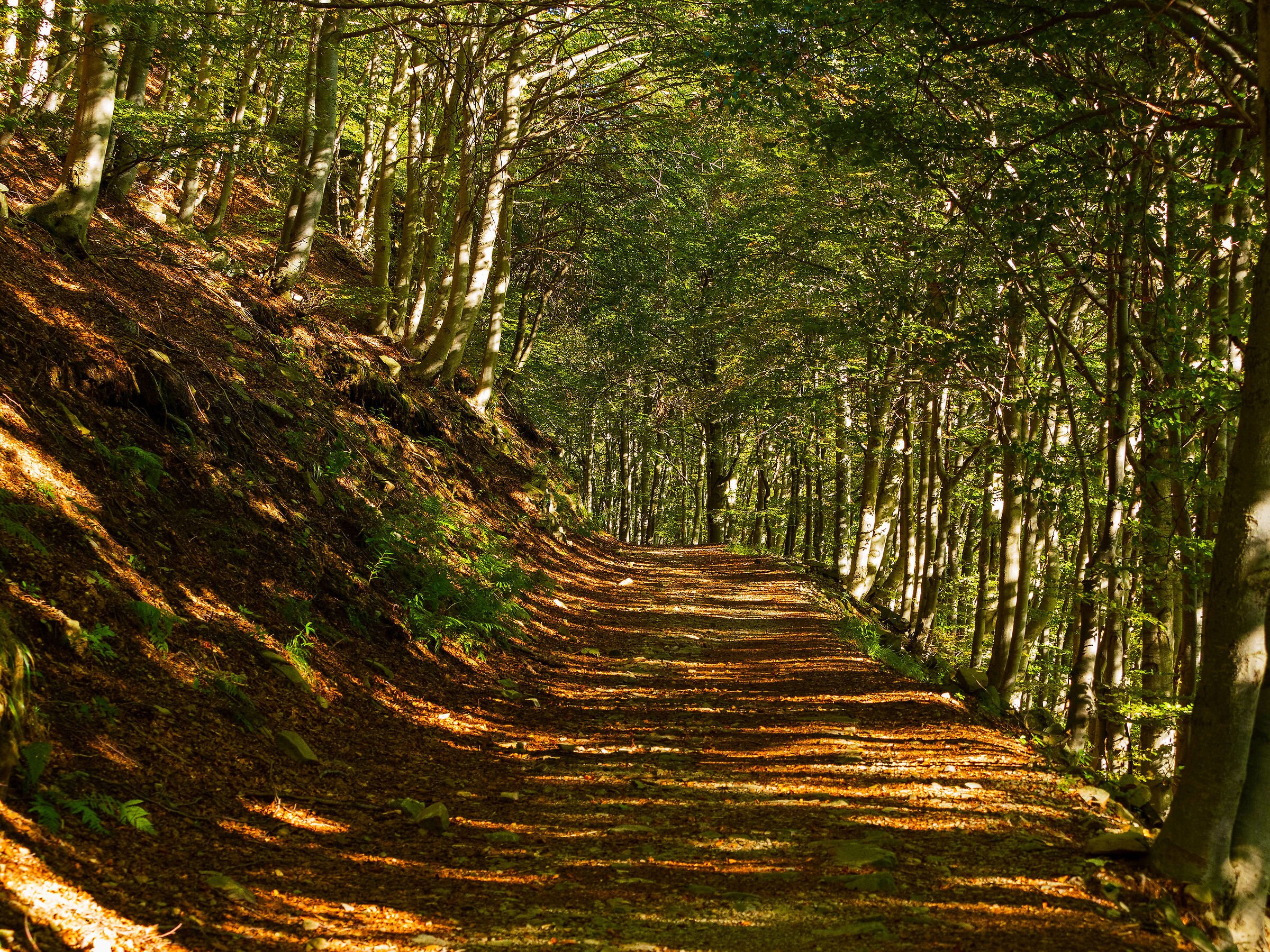 Autunno
