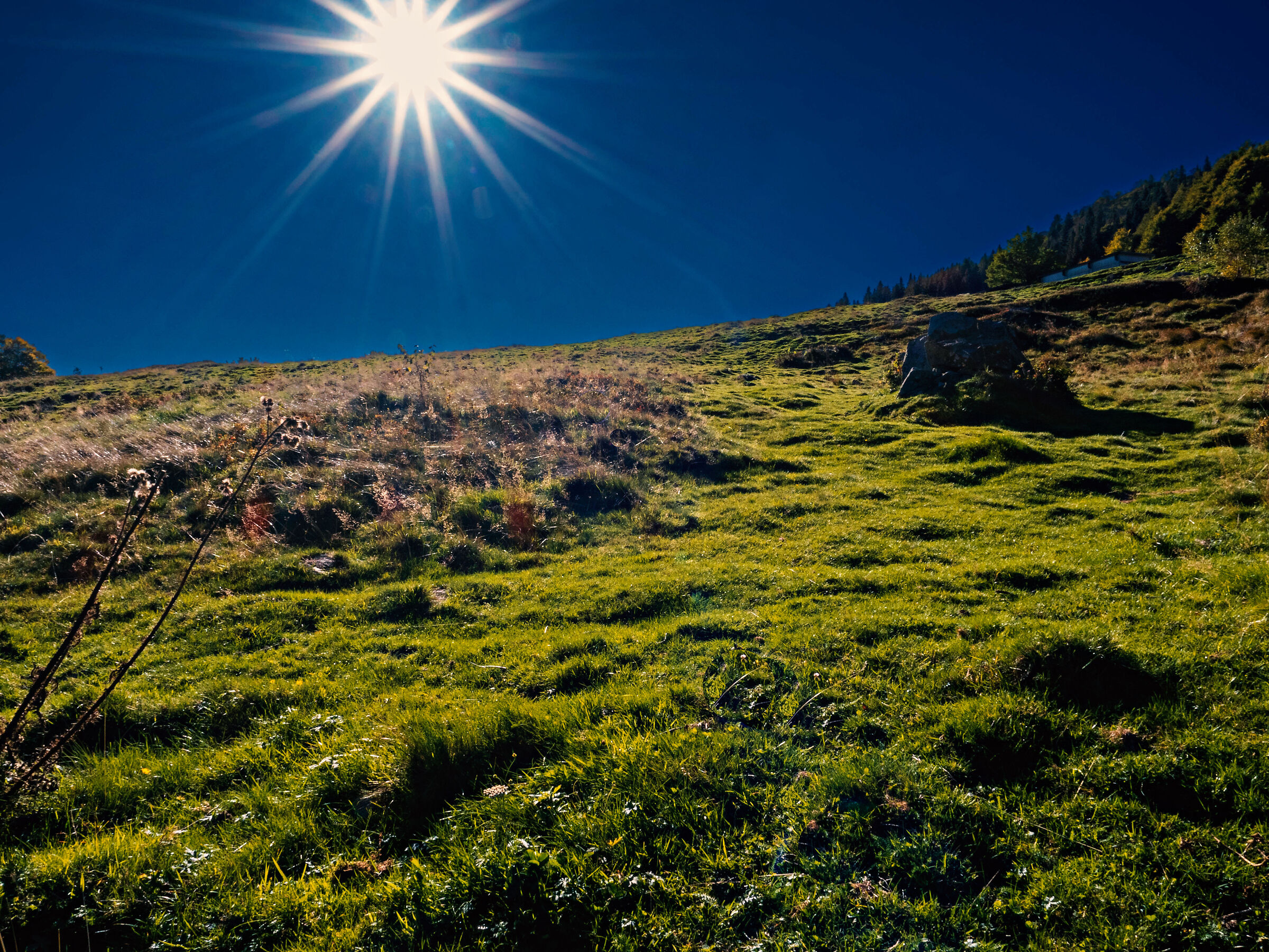 Cosa può il sole