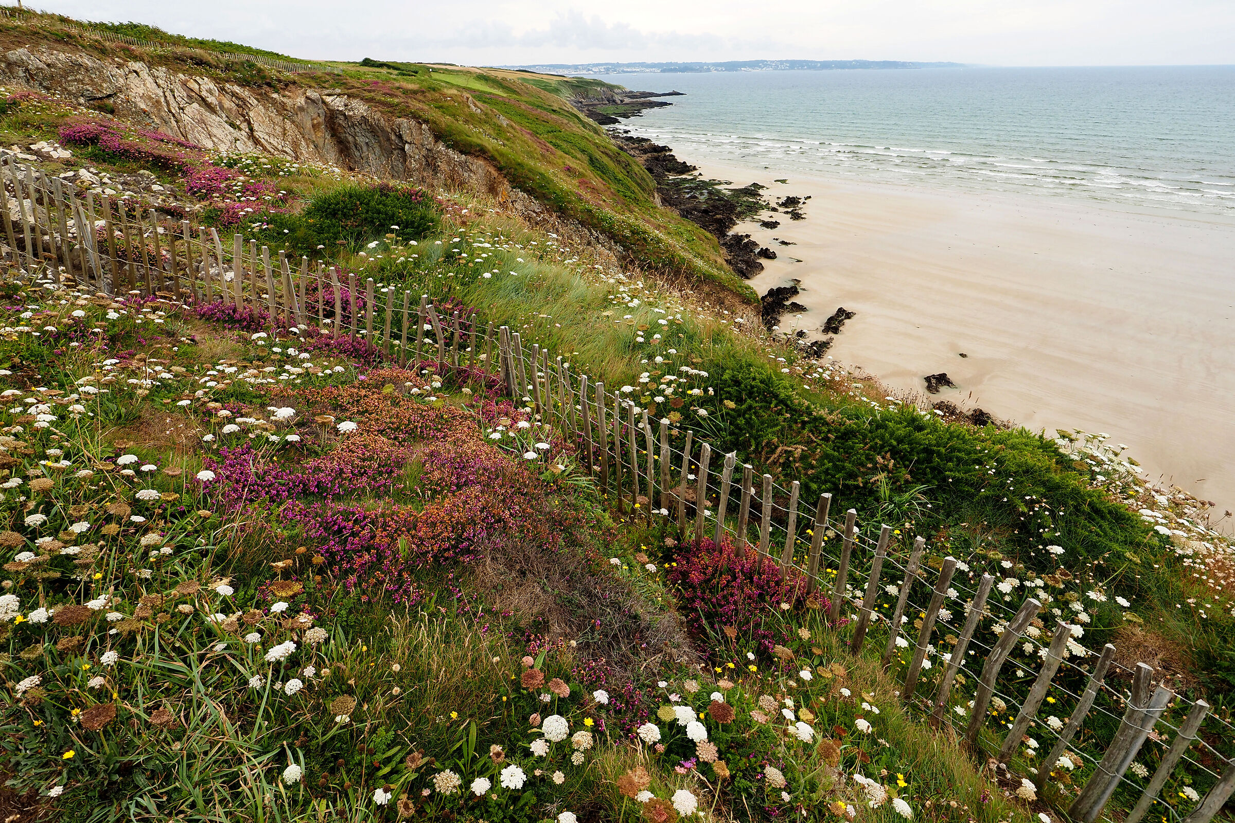 BRETAGNE - VERS POINTE TREFEUNTEC 26-07-2024