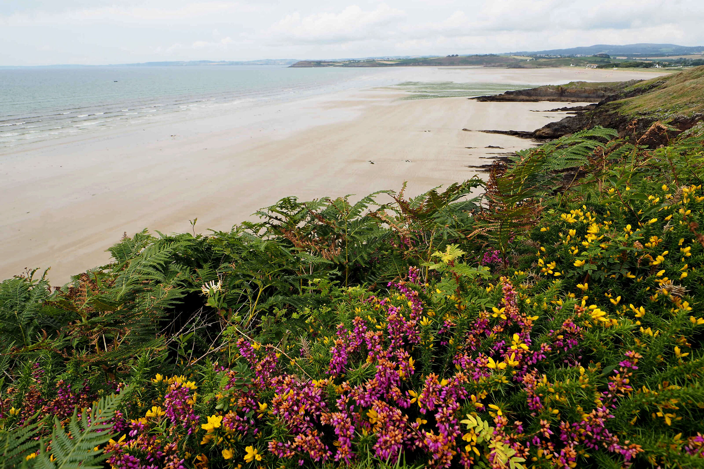 BRETAGNA - POINTE TREFEUNTEC 26-07-2024