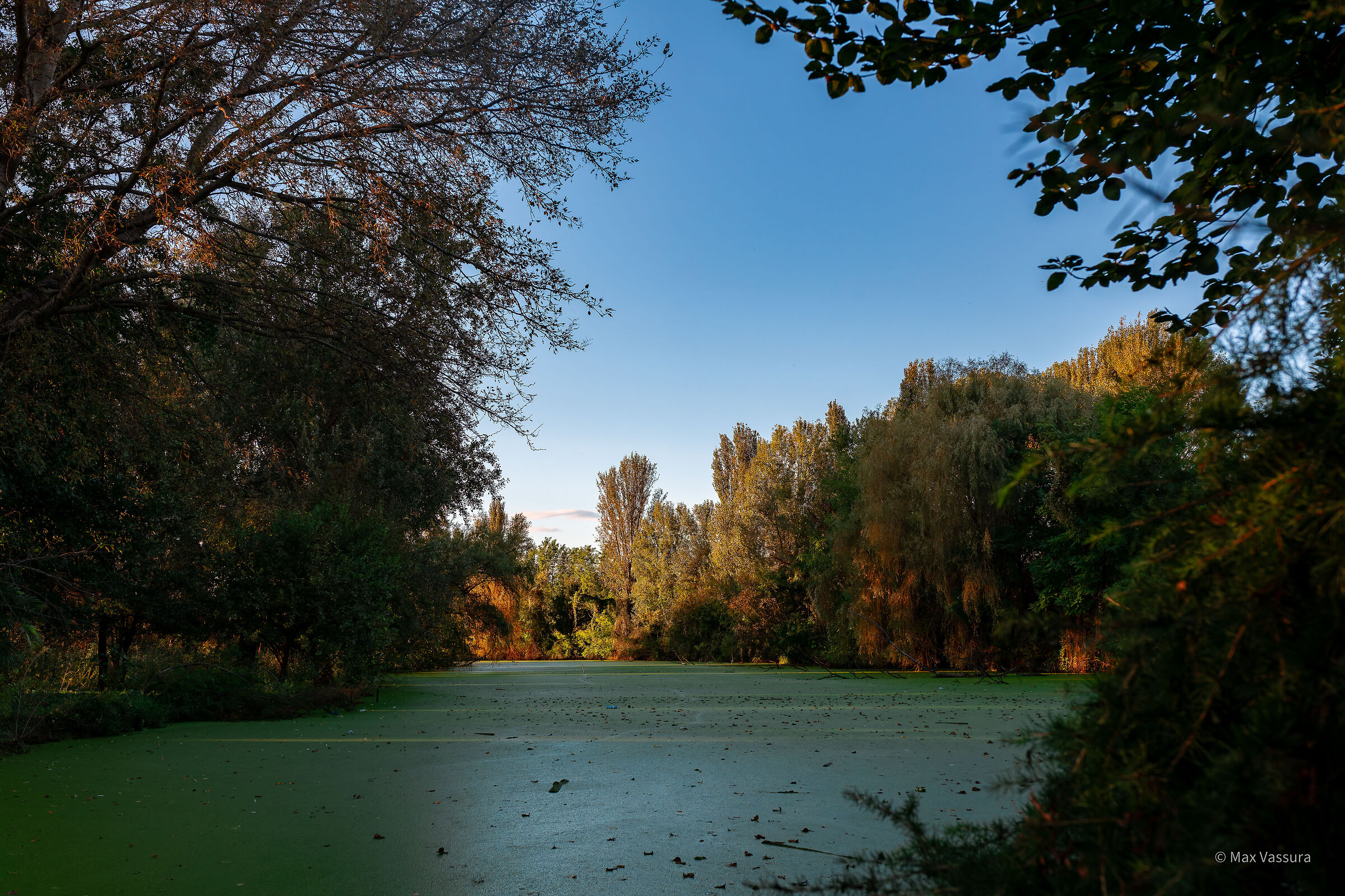 Cantarana farmhouse pond
