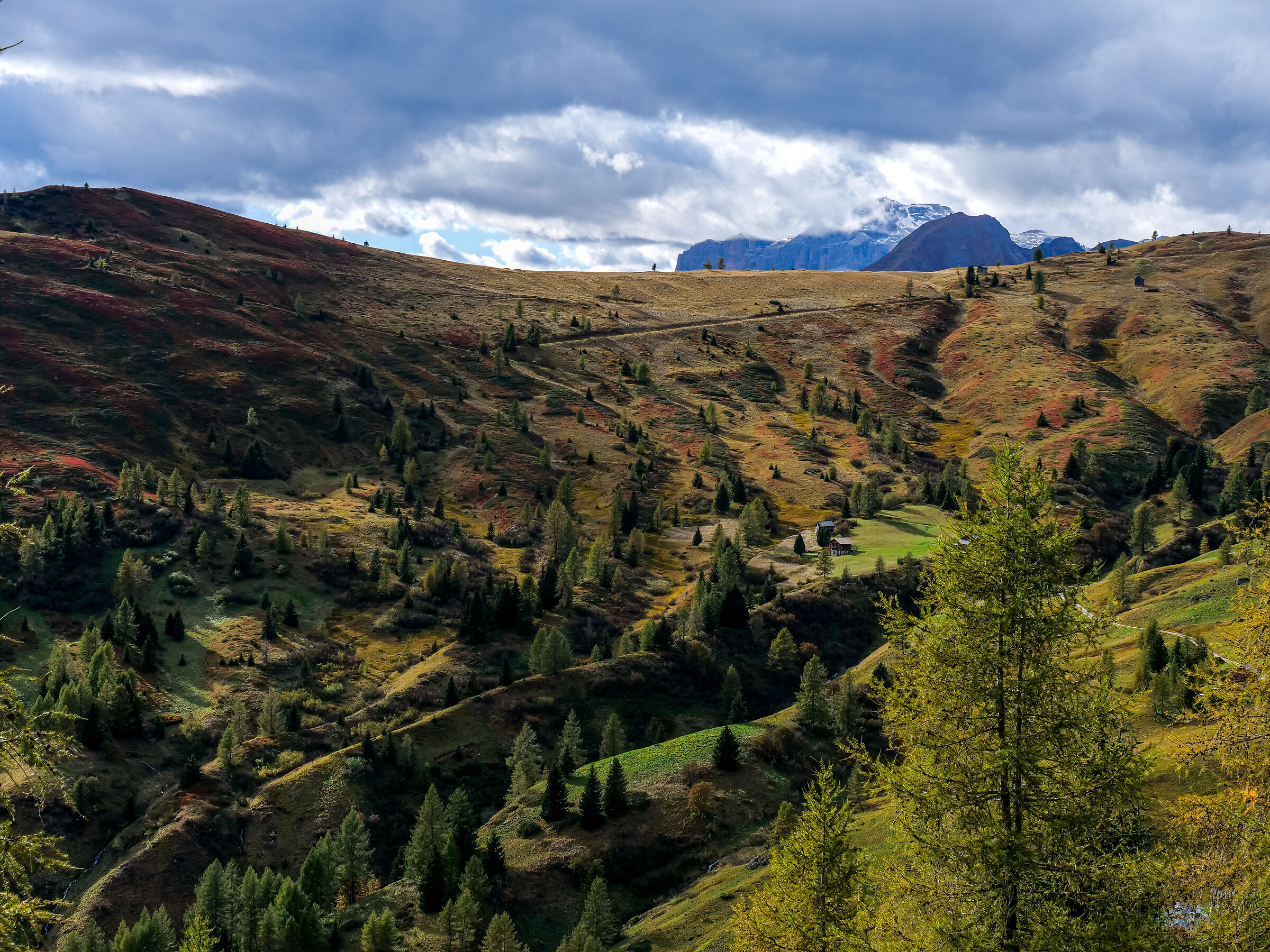 Gradiente verde rosso