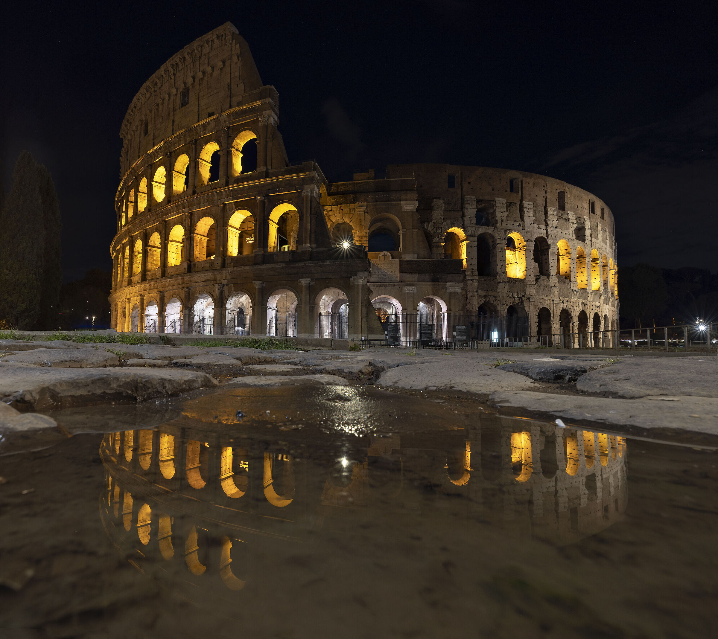 The coliss... in a puddle