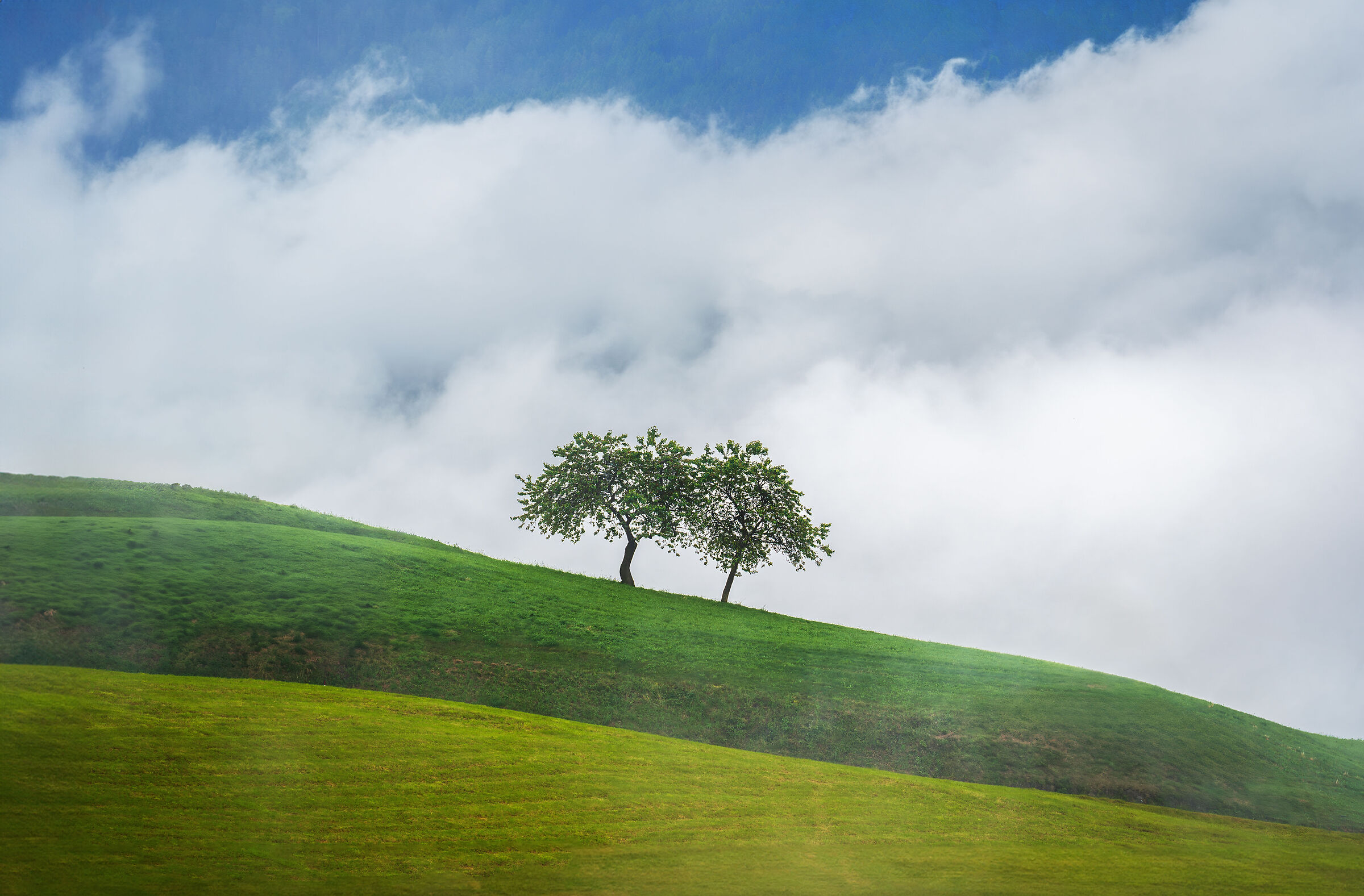Windows XP