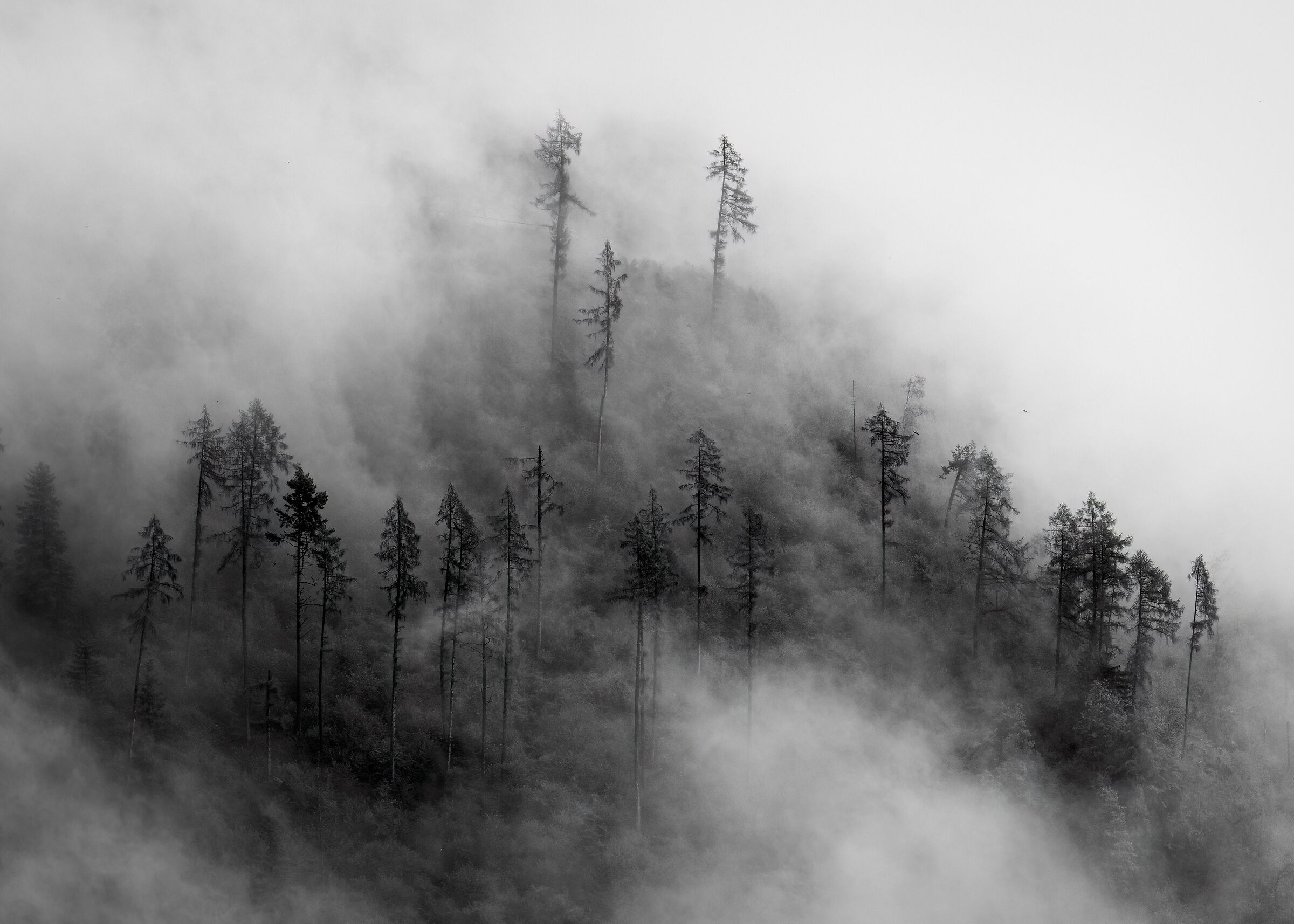 ...inizio autunno in montagna...