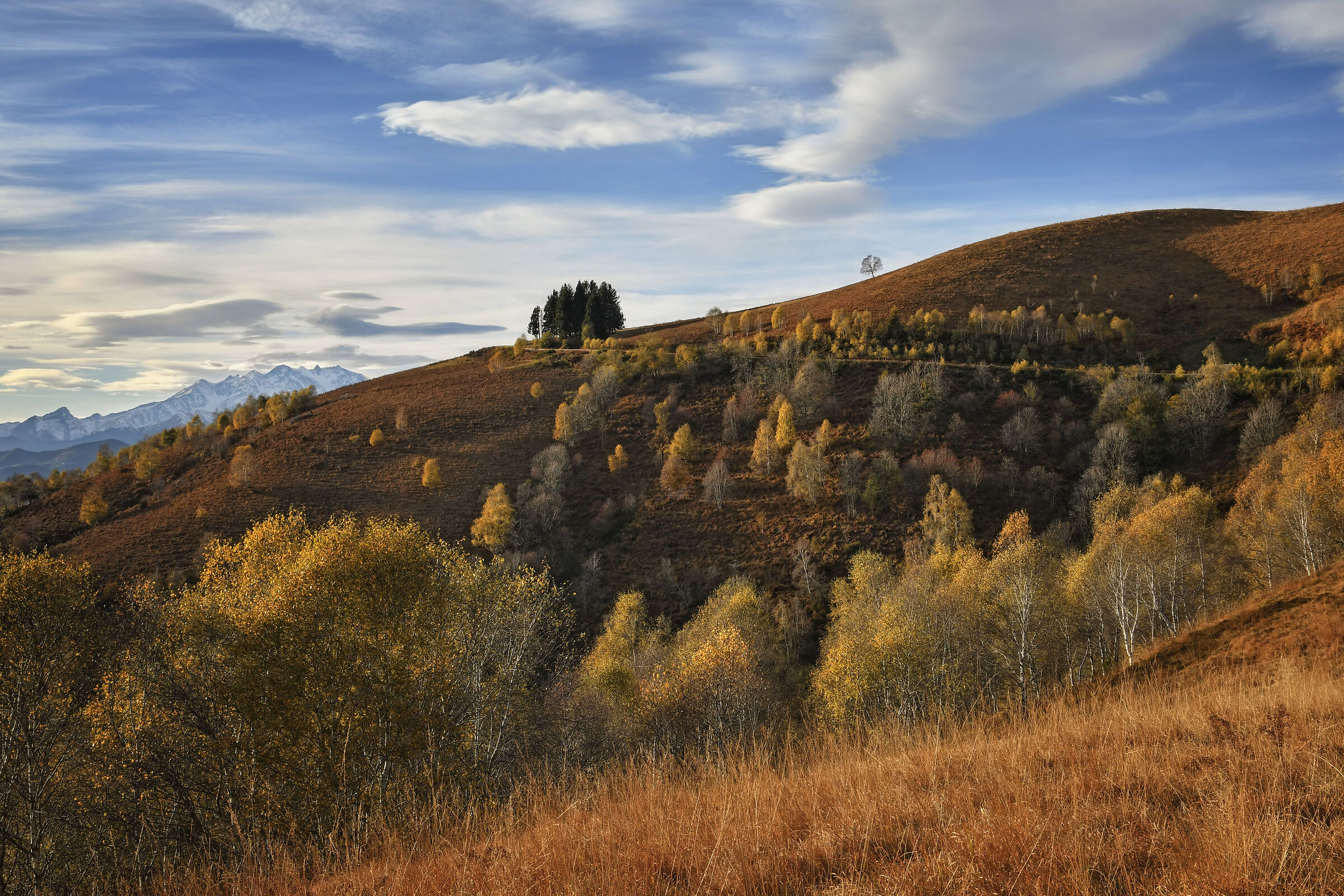 On the slopes of Mottarone